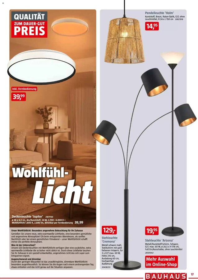 BAUHAUS Prospekt ab 30.10.2026 – Seite 17