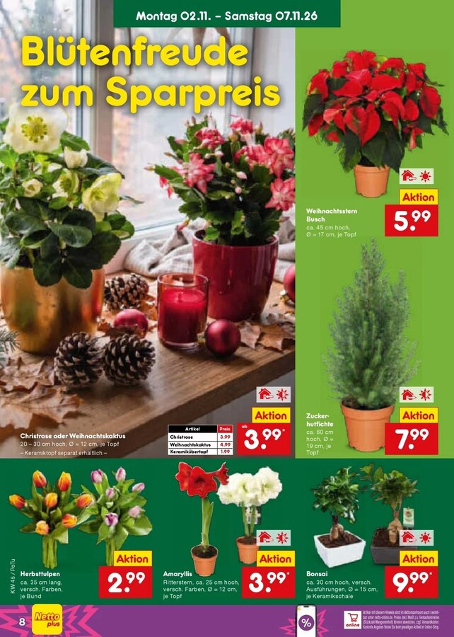 Netto Prospekt ab 02.11.2026 – Seite 12