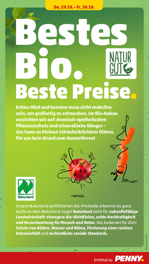 PENNY Prospekt ab 26.10.2026 – Seite 33