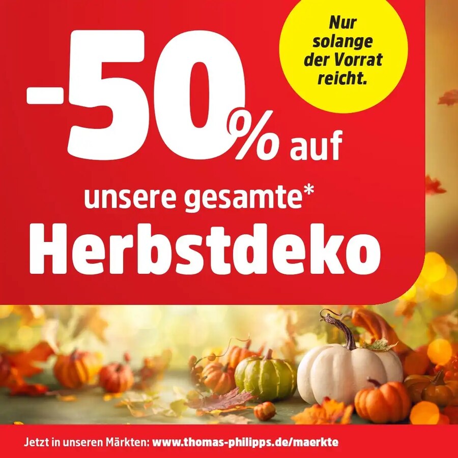 Thomas Philipps Prospekt ab 02.11.2026 – Seite 16