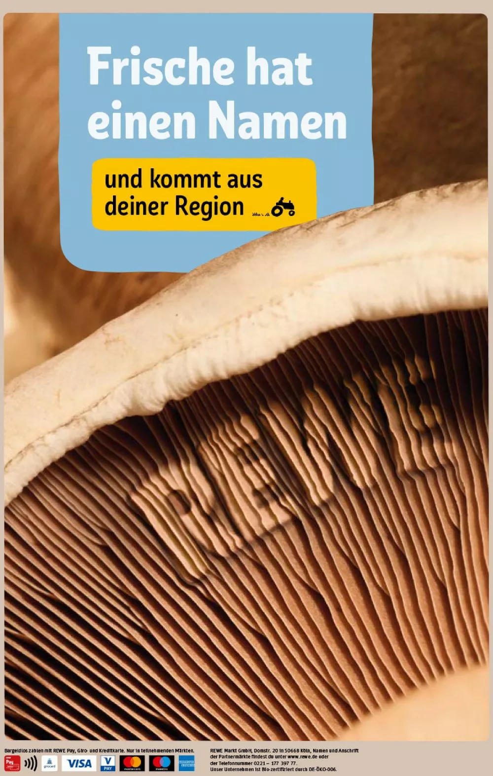 REWE Center – Seite 34