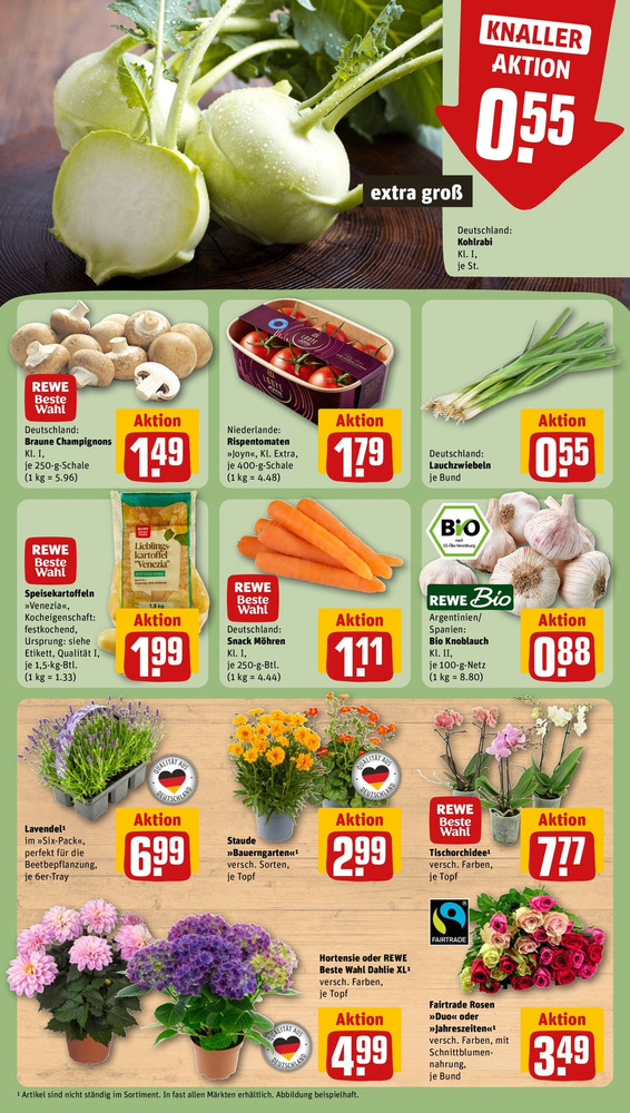 REWE City – Seite 9