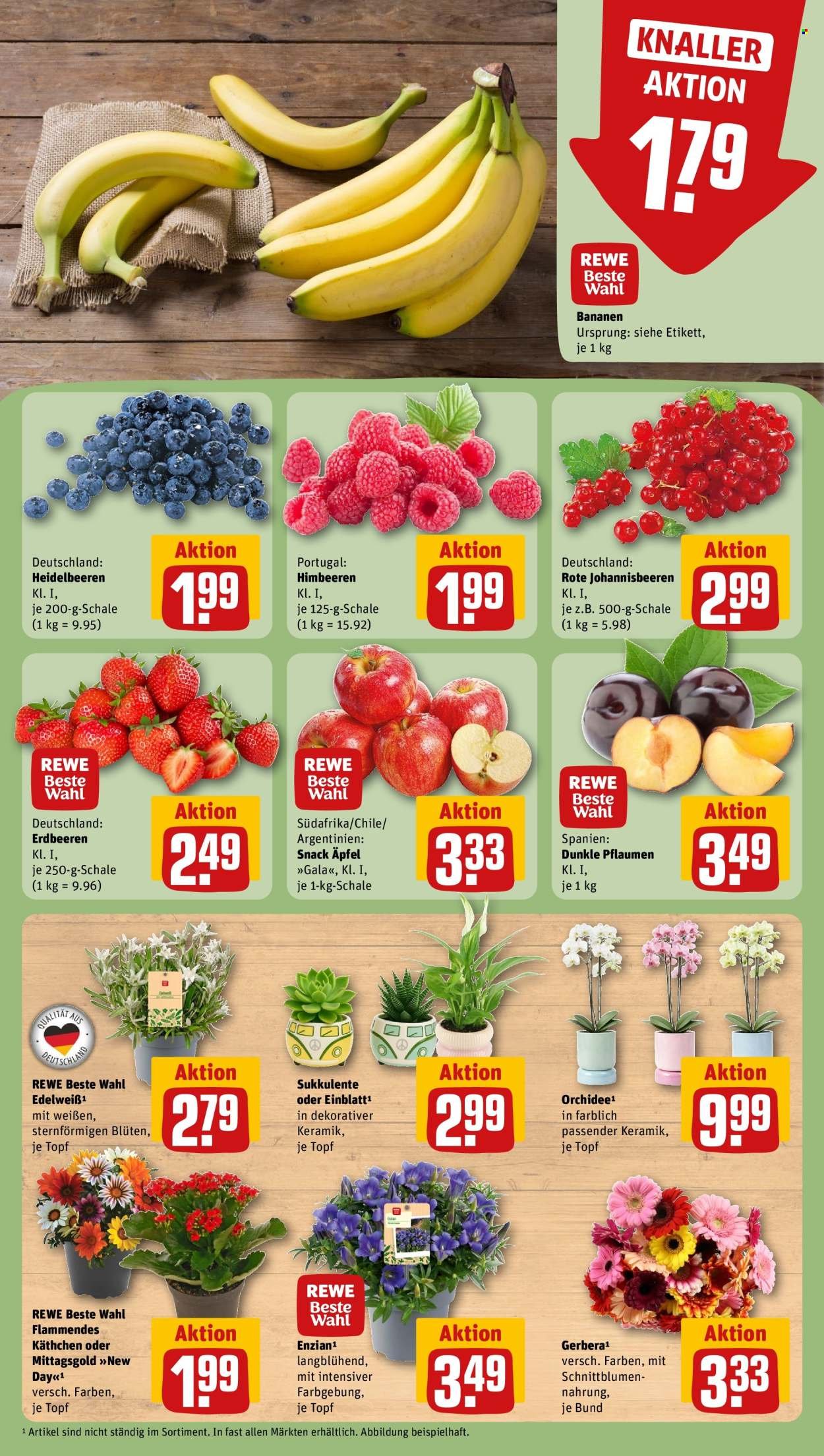 Rewe Dortmund – Seite 9