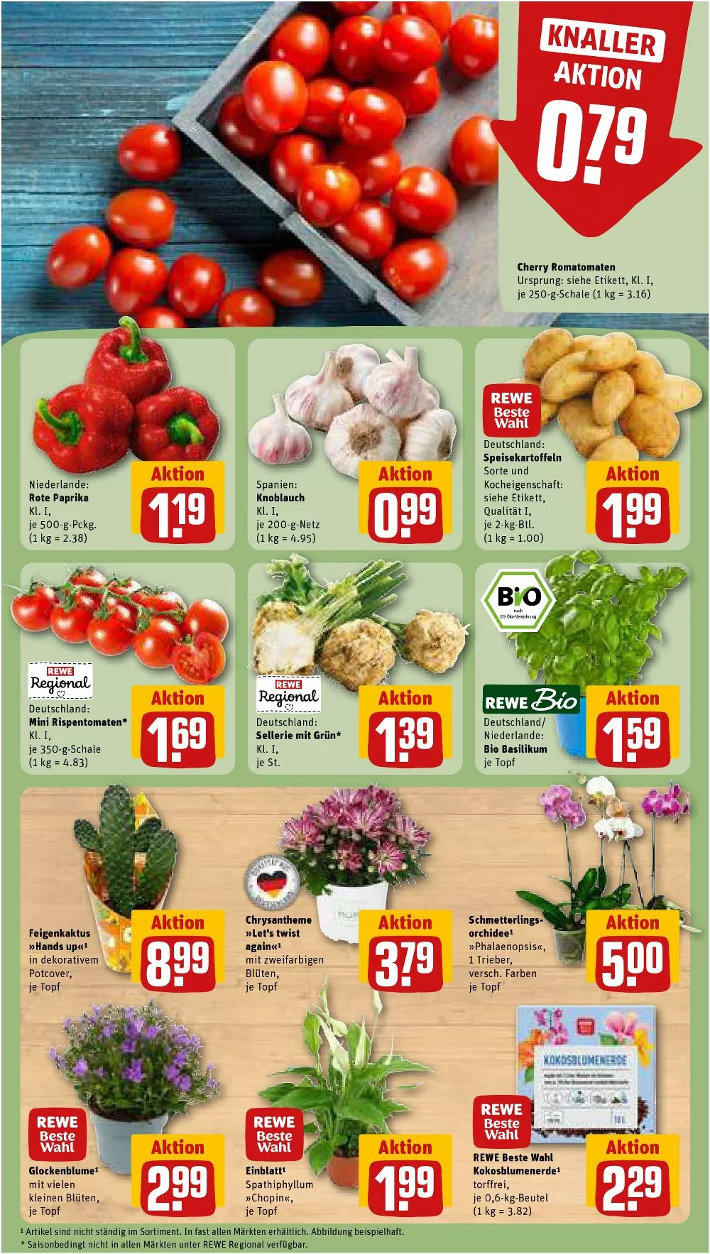 REWE Vorschau – Seite 5