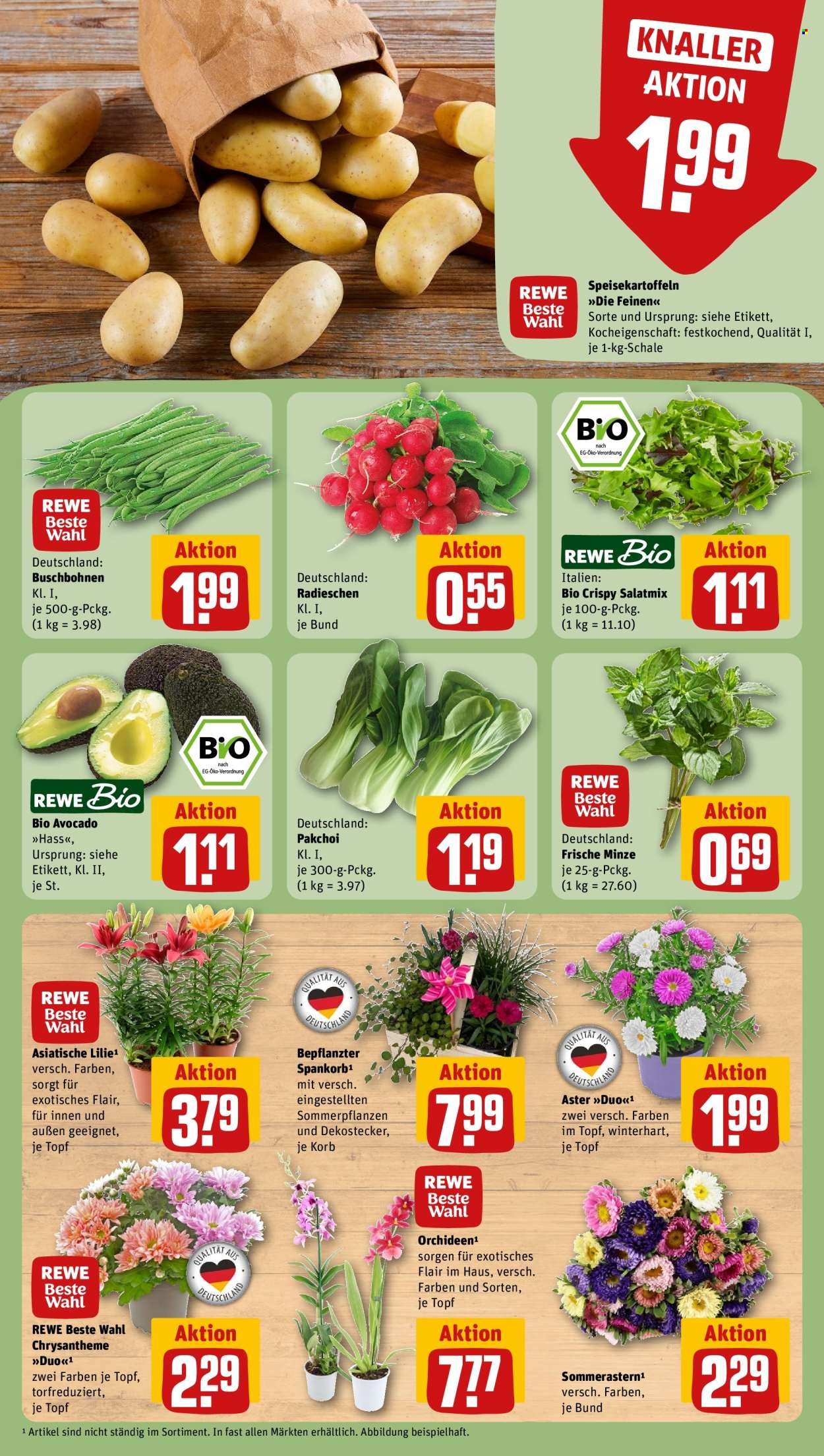REWE Vorschau – Seite 7