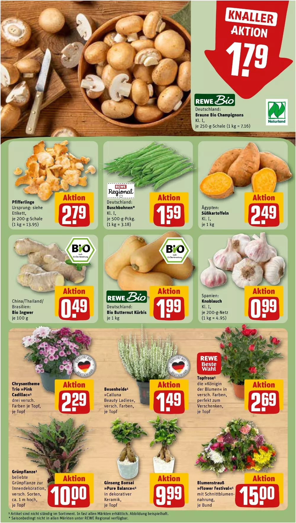 REWE Vorschau – Seite 7