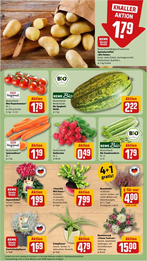 REWE Vorschau – Seite 7