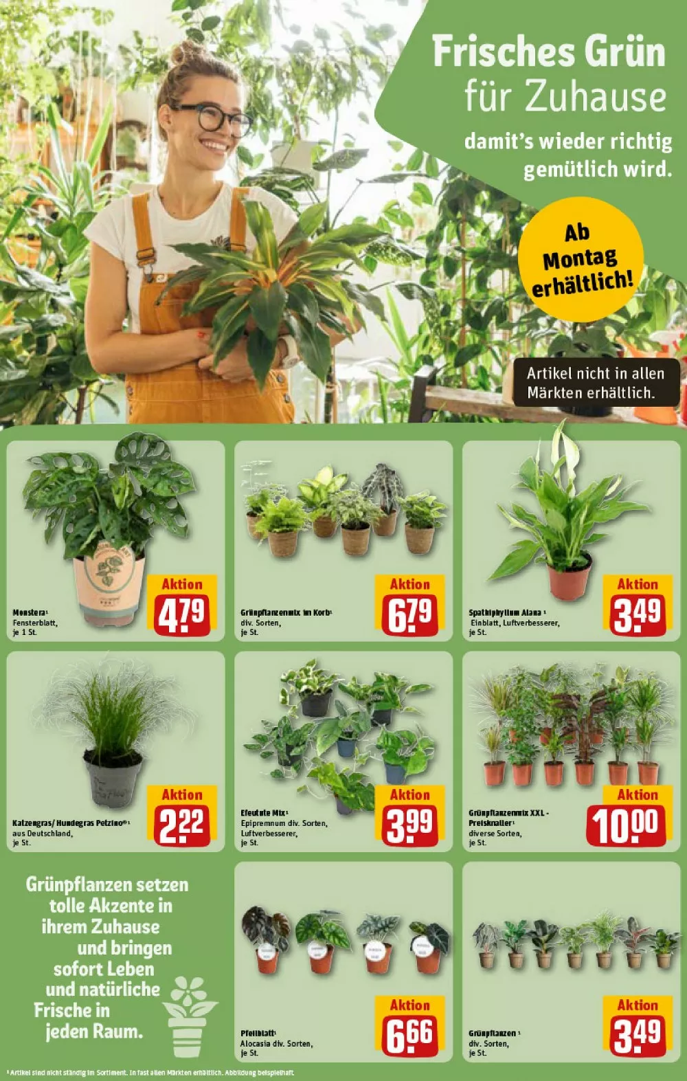 REWE Vorschau – Seite 10