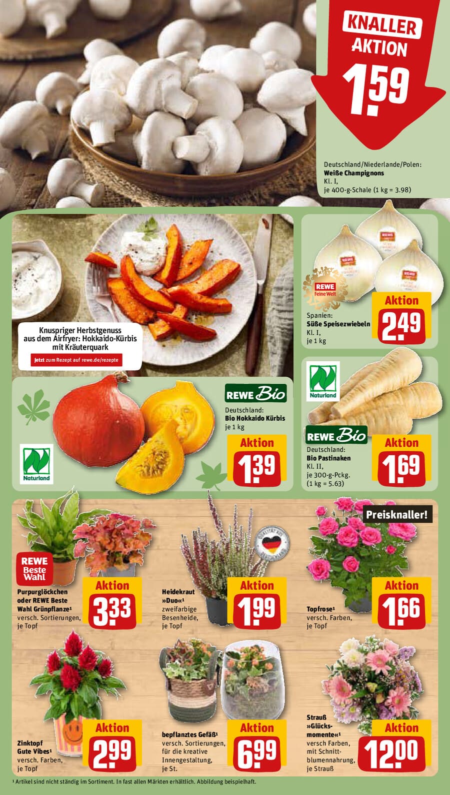 REWE Vorschau – Seite 11