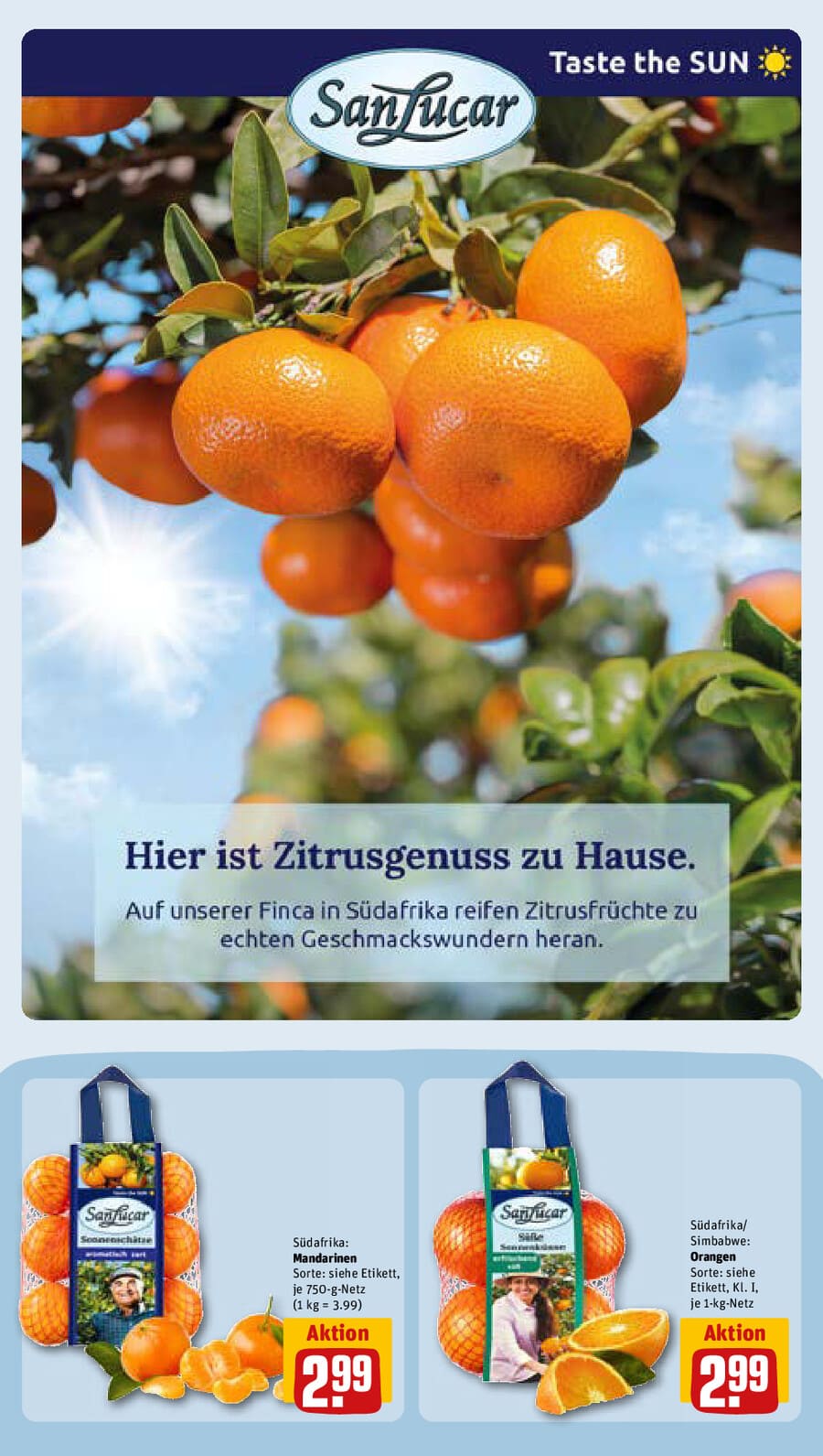 REWE Vorschau – Seite 13