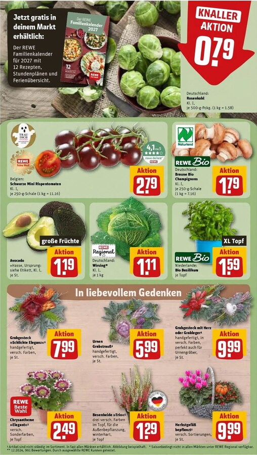 REWE Prospekt ab 19.10.2026 – Seite 13