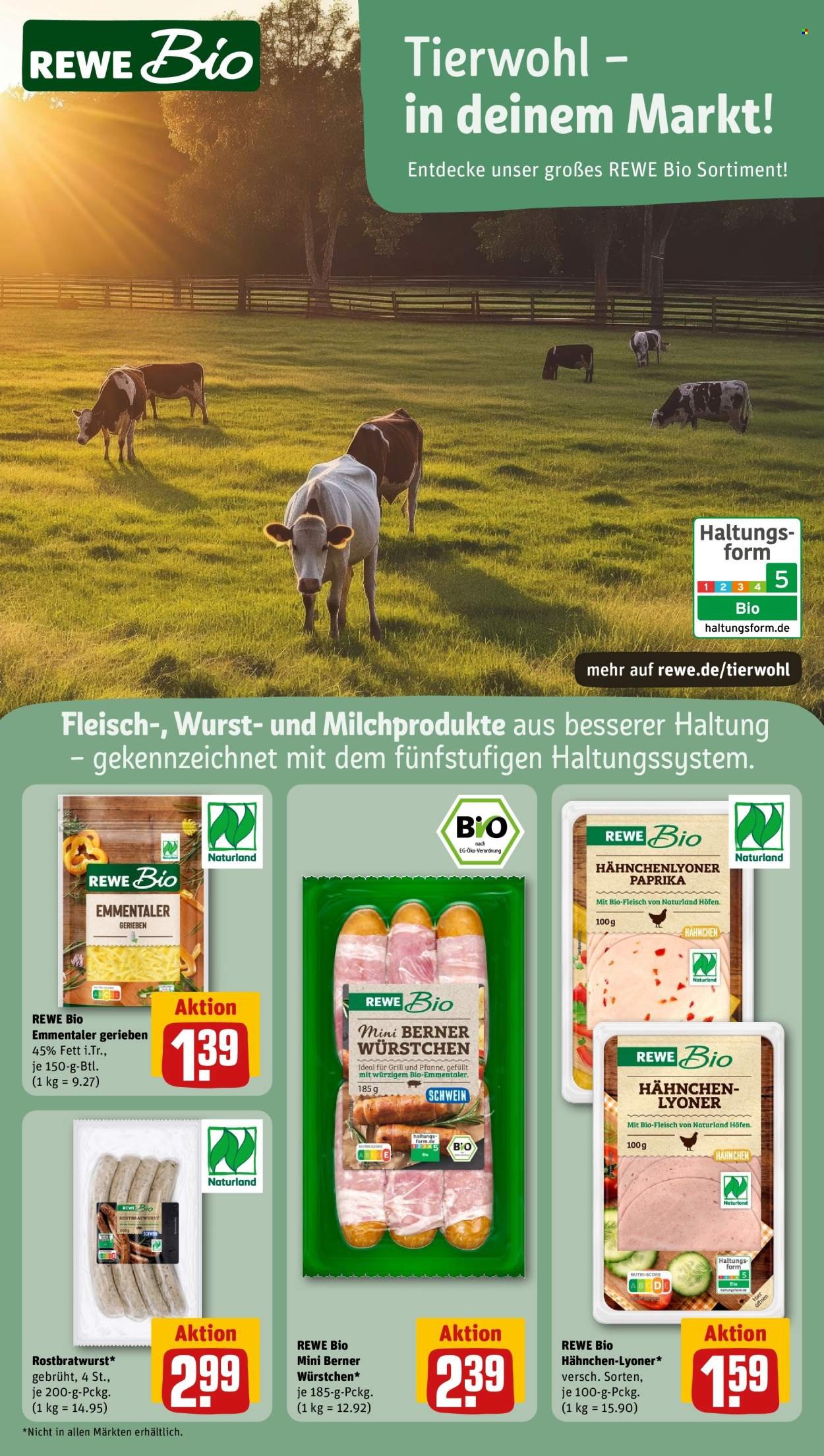 REWE Vorschau – Seite 13