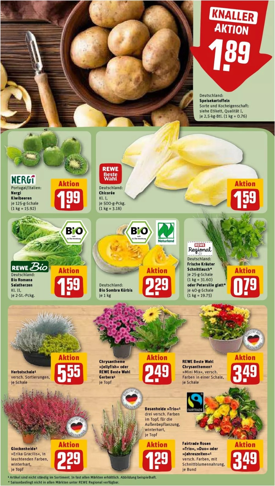 REWE Vorschau – Seite 13
