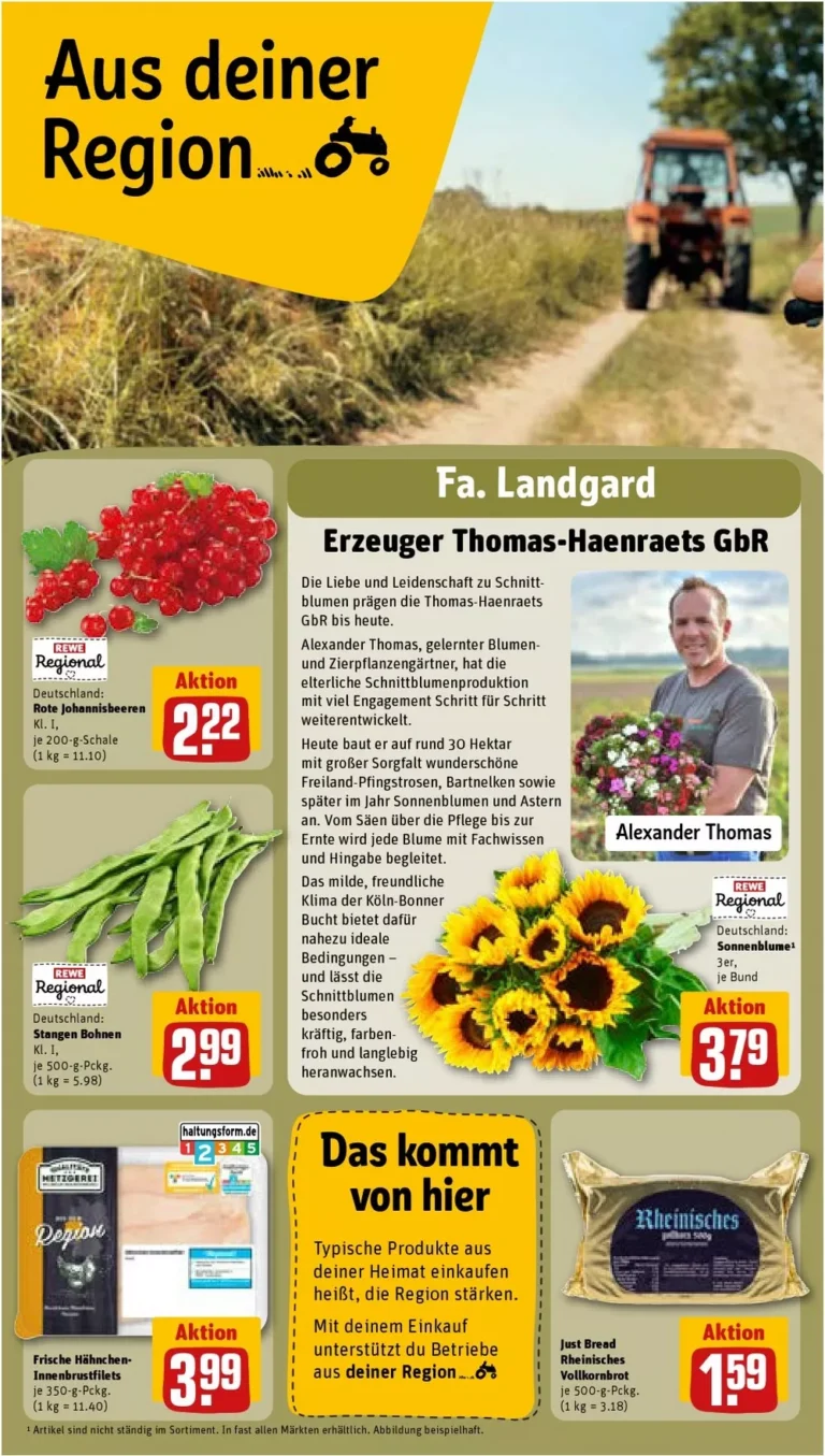 REWE Vorschau – Seite 19
