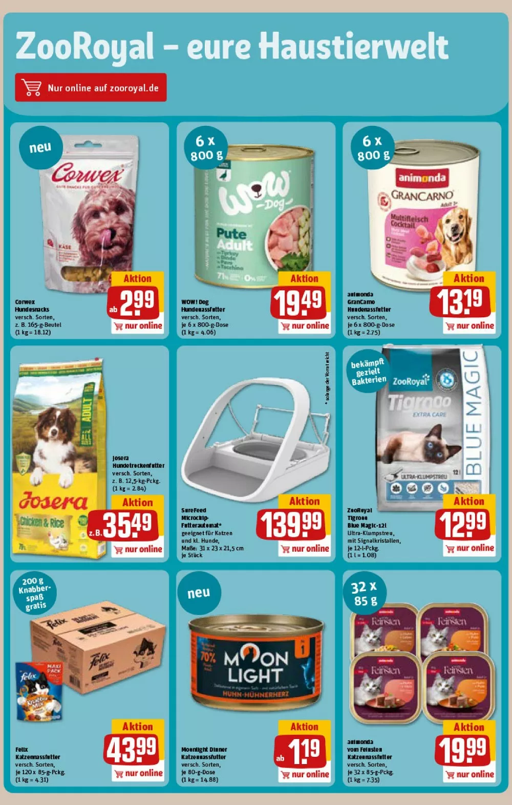 REWE Vorschau – Seite 31