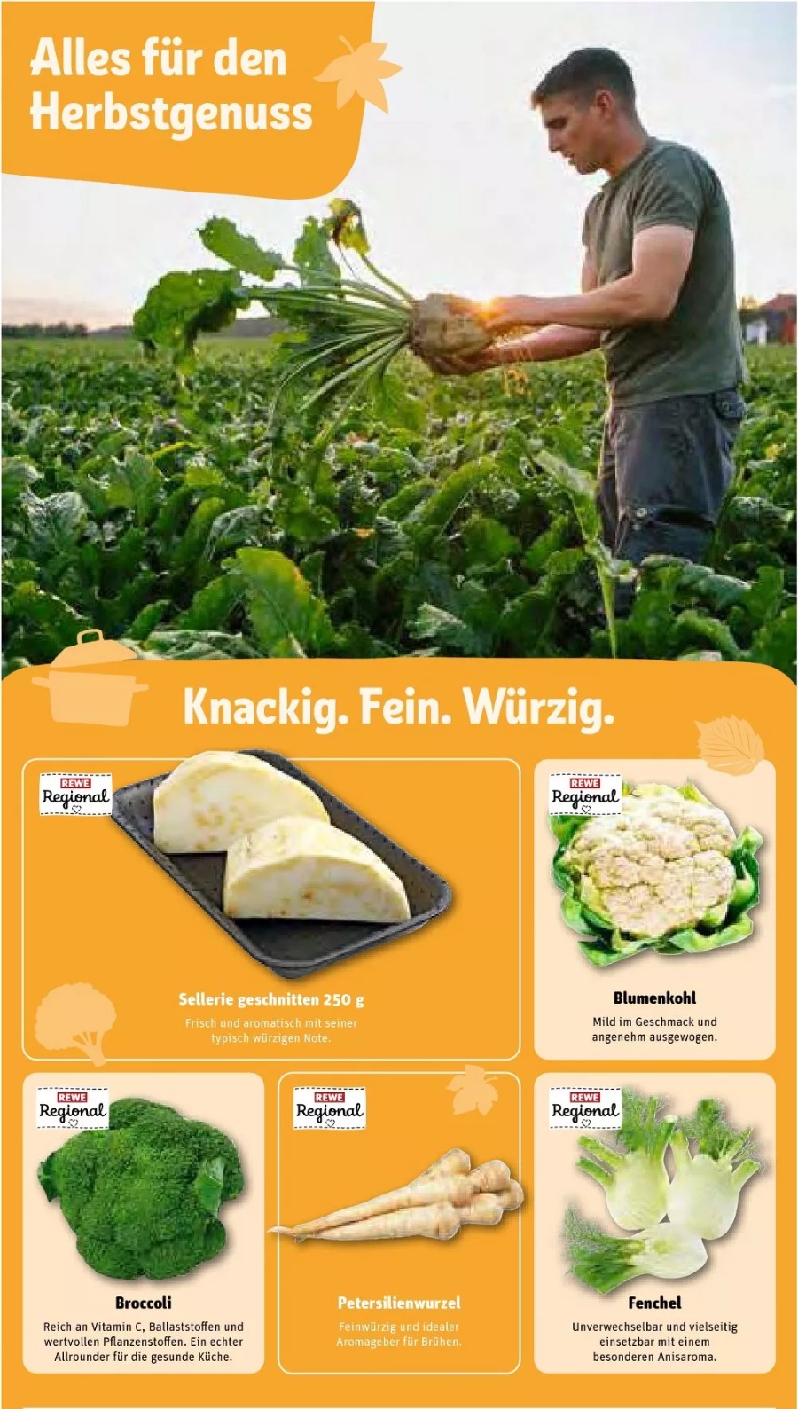 REWE Vorschau – Seite 32