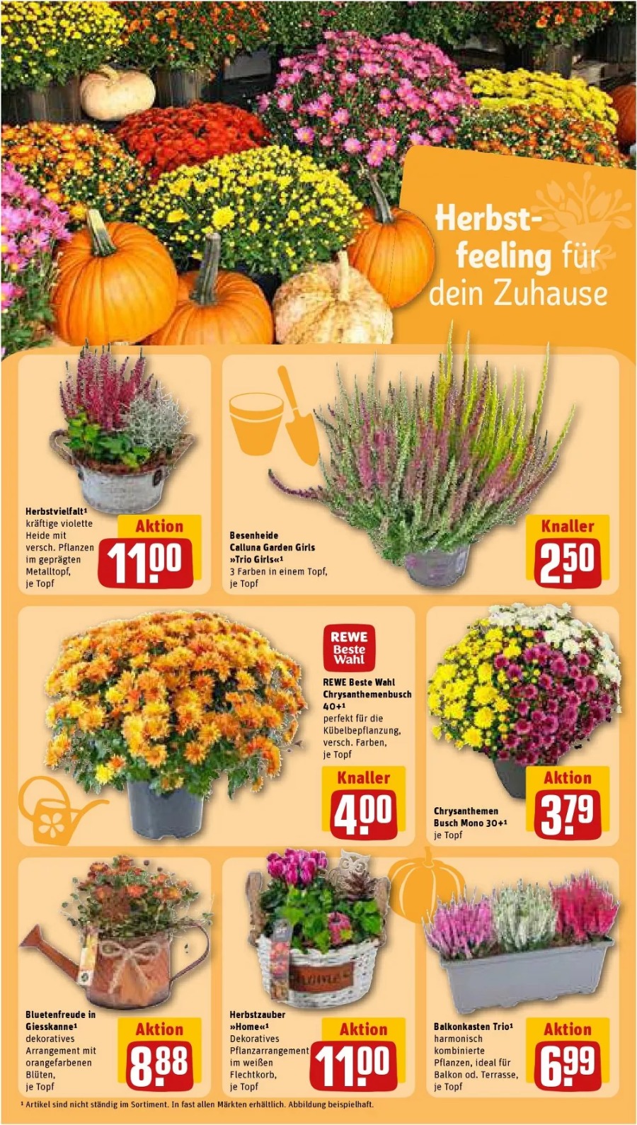 REWE Vorschau – Seite 32