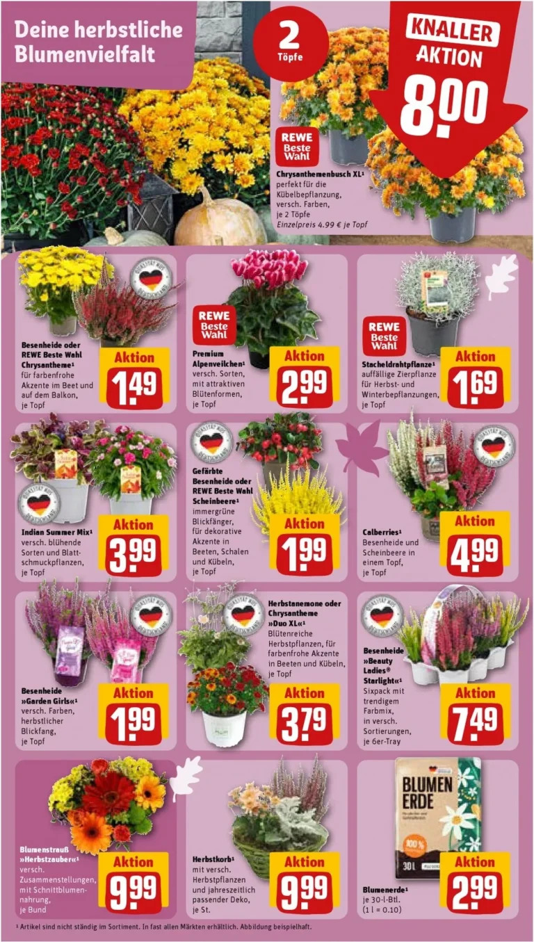 Rewe – Seite 5