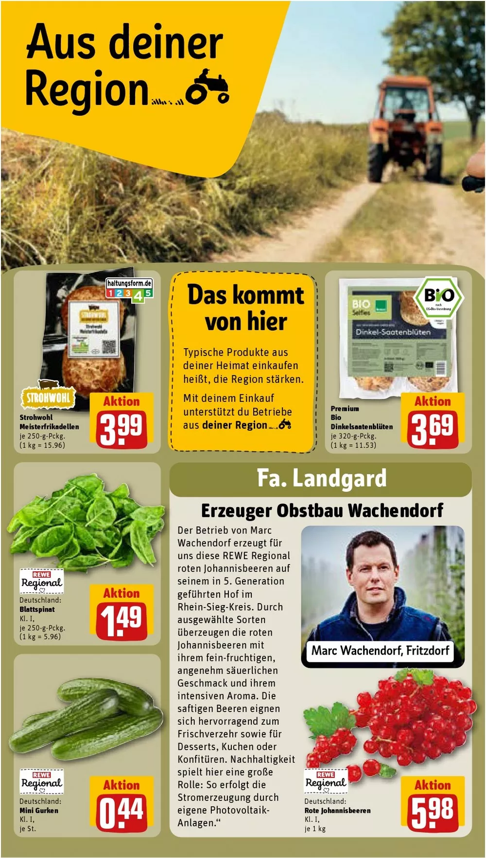 REWE Prospekt – Seite 23