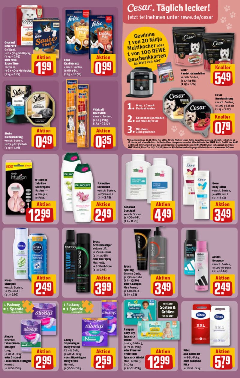REWE Prospekt – Seite 25