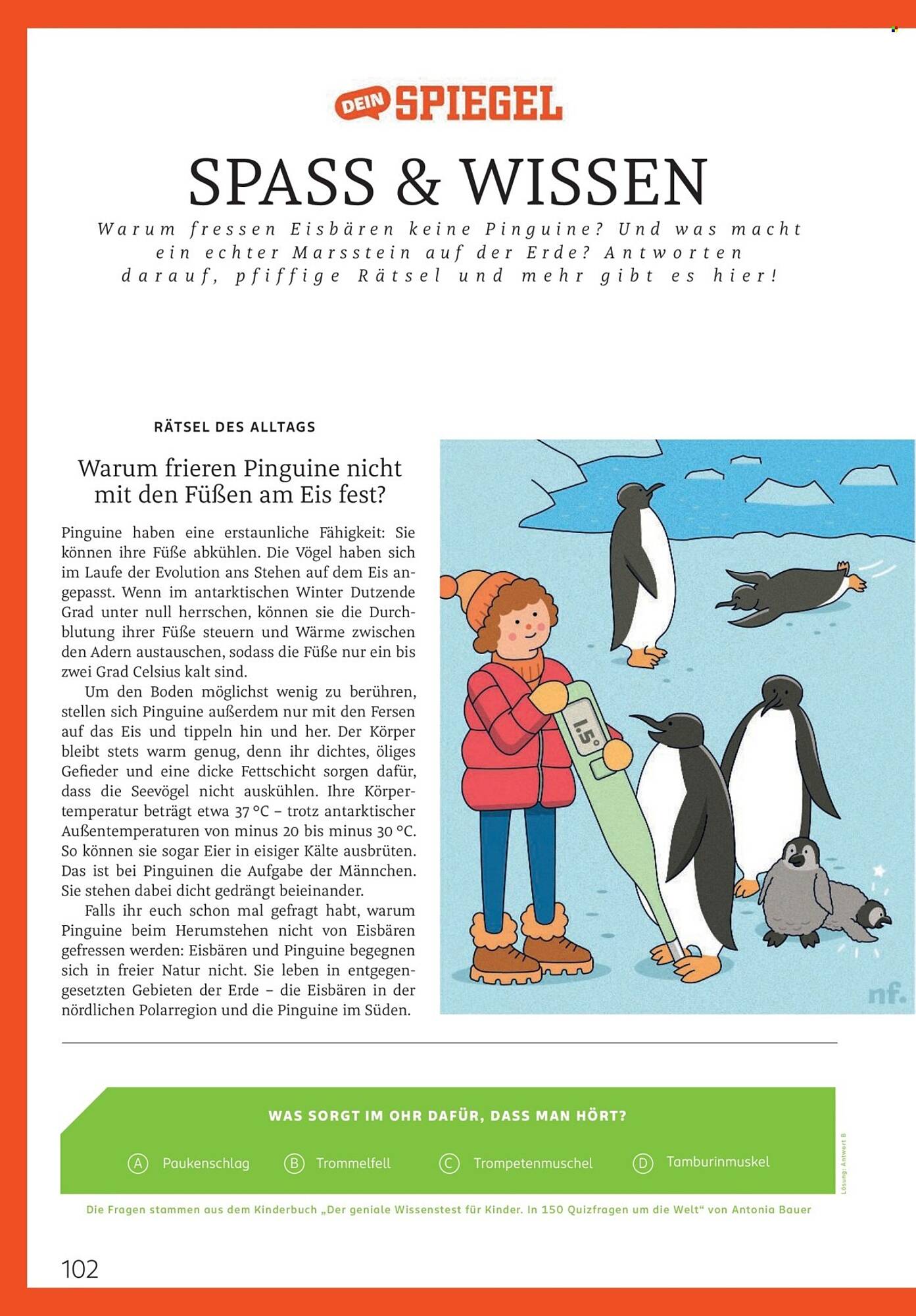 Rossmann Magazin – Seite 102
