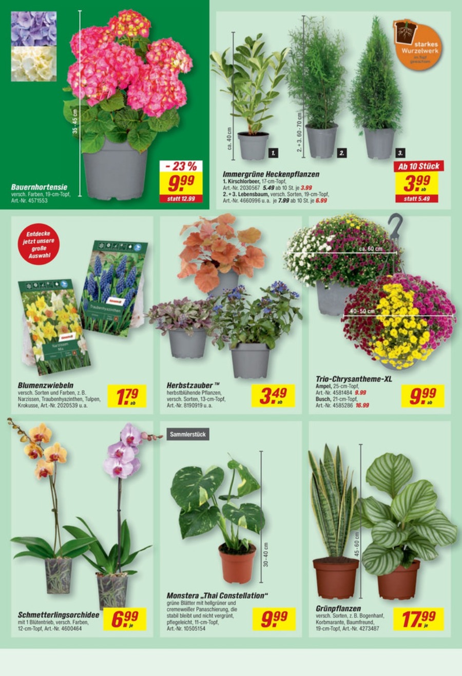 toom Baumarkt Prospekt – Seite 6