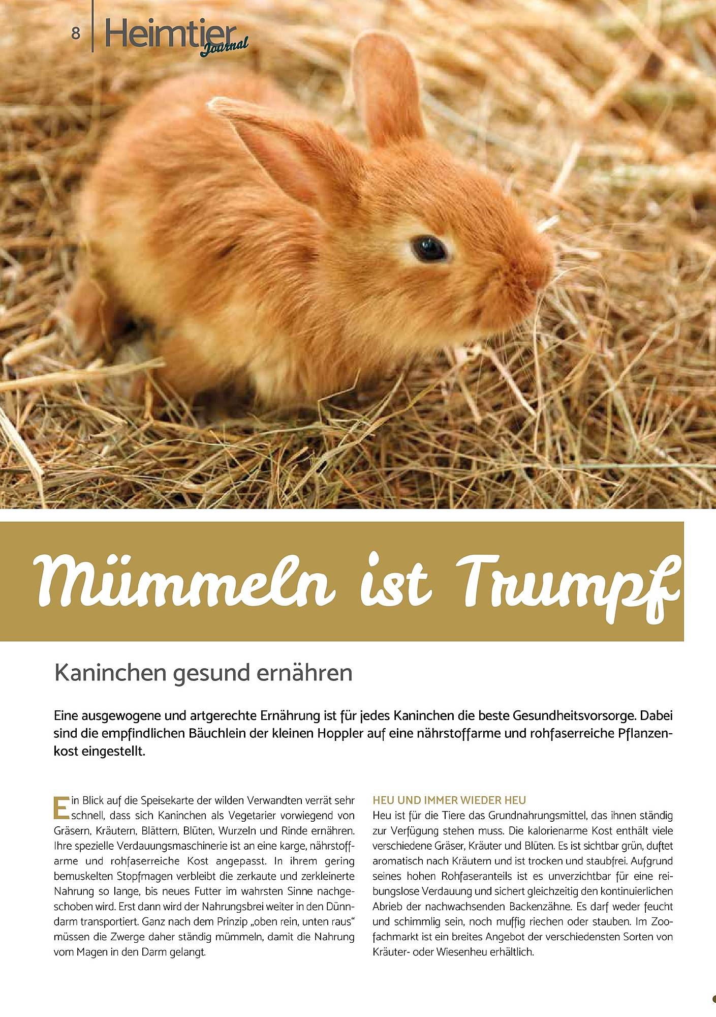 Zookauf Magazin – Seite 8