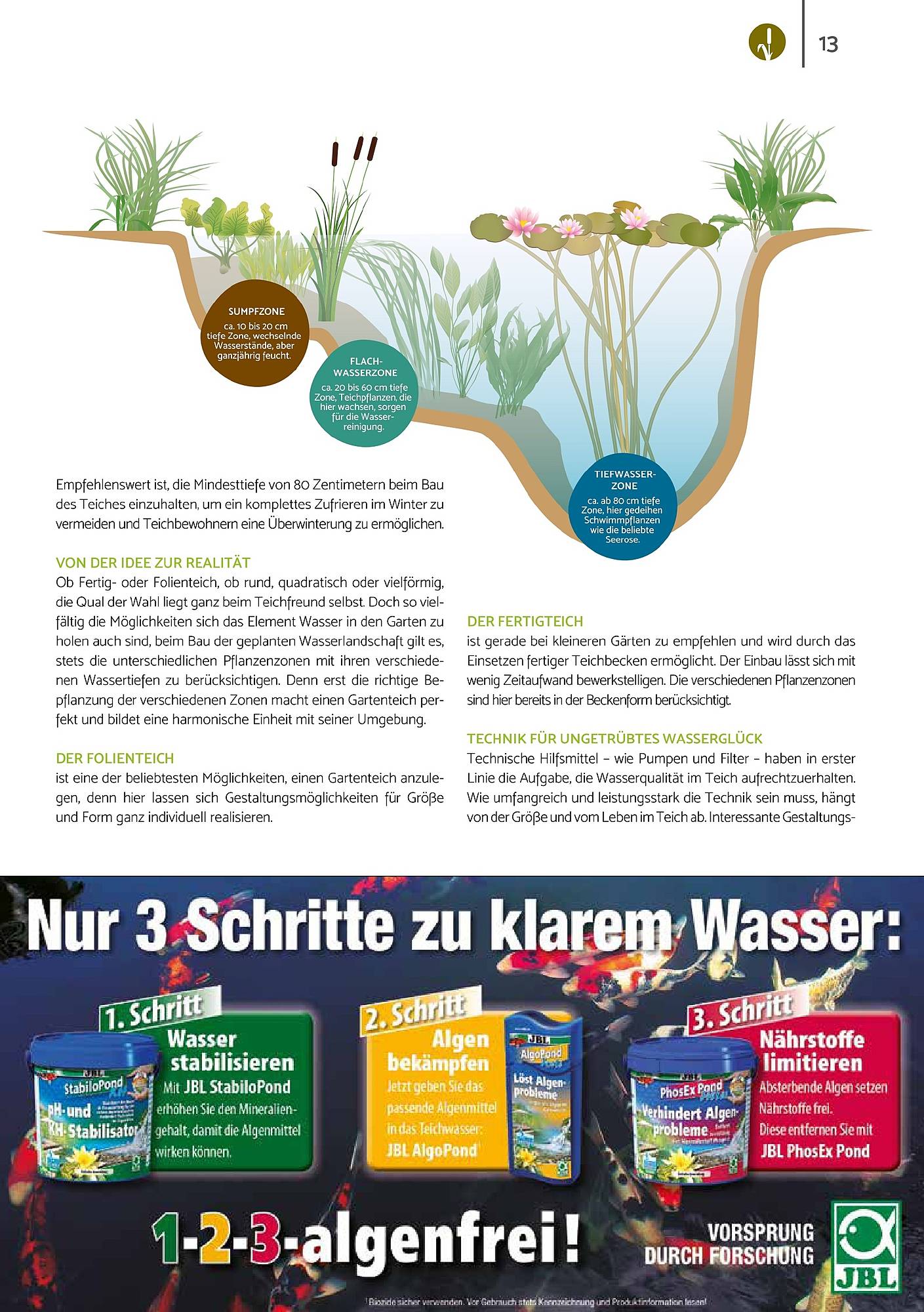 Zookauf Magazin – Seite 13