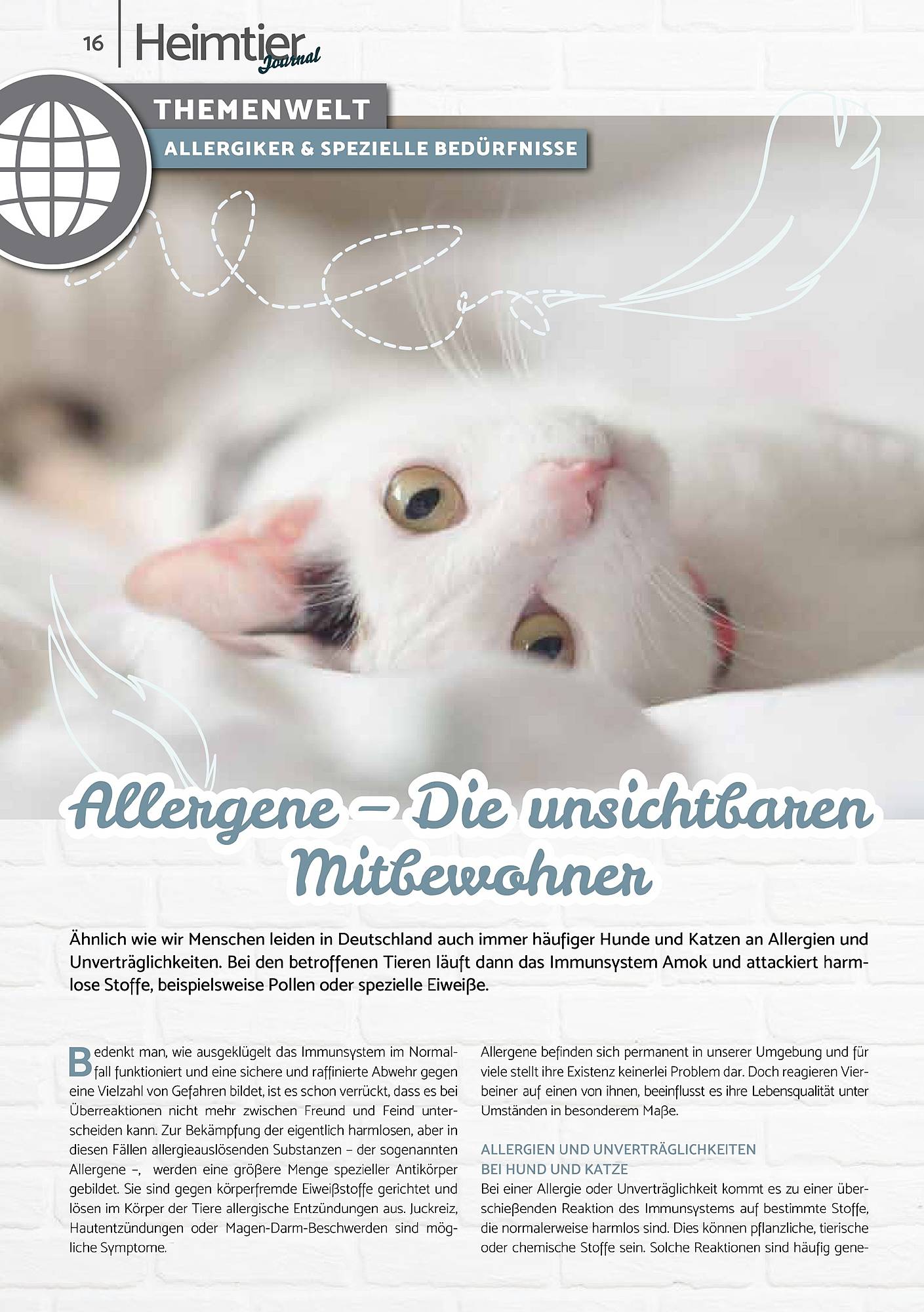 Zookauf Magazin – Seite 16