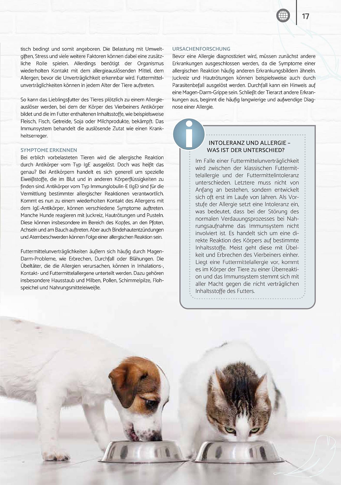 Zookauf Magazin – Seite 17