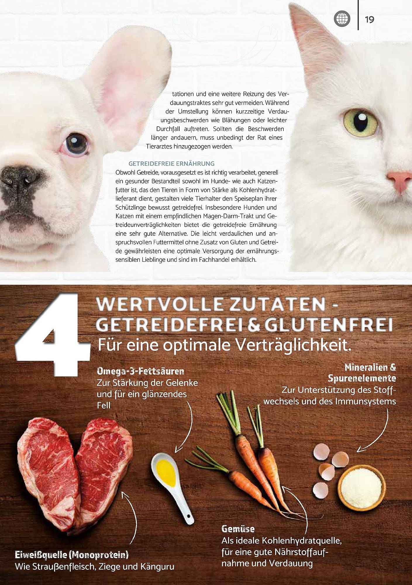Zookauf Magazin – Seite 19