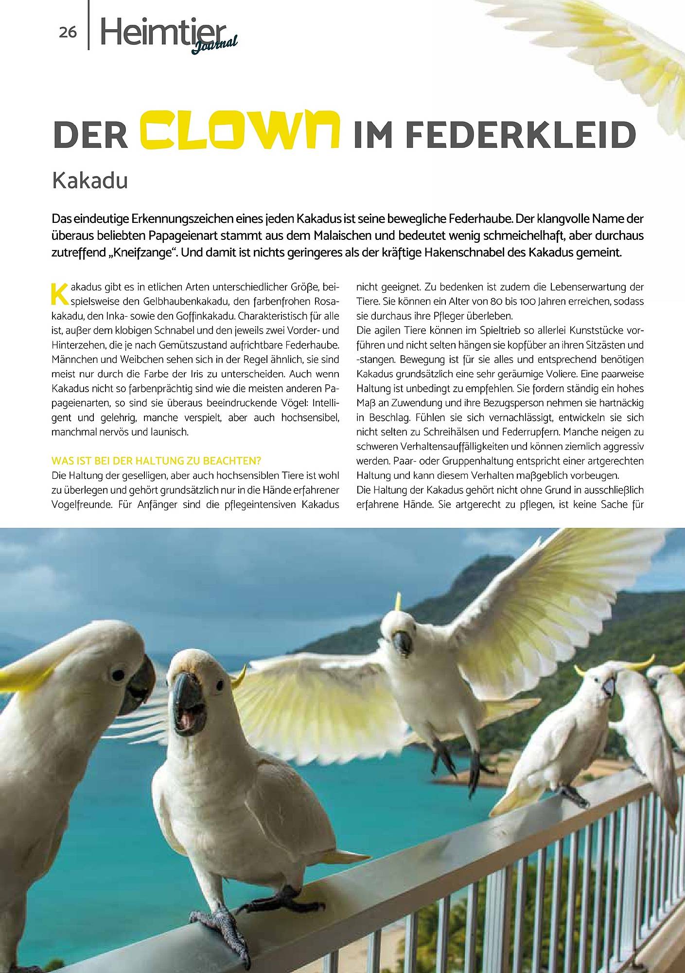 Zookauf Magazin – Seite 26