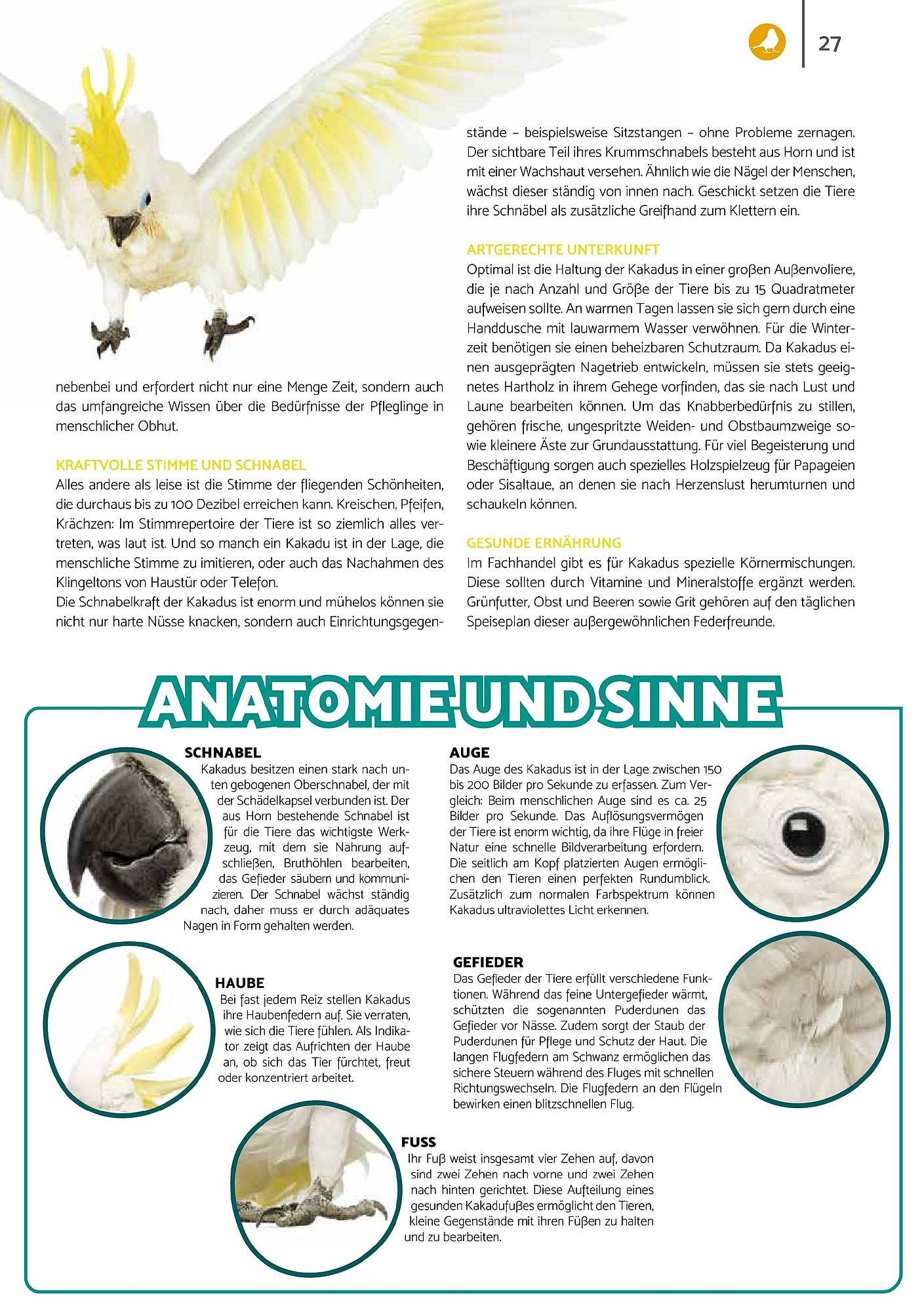 Zookauf Magazin – Seite 27