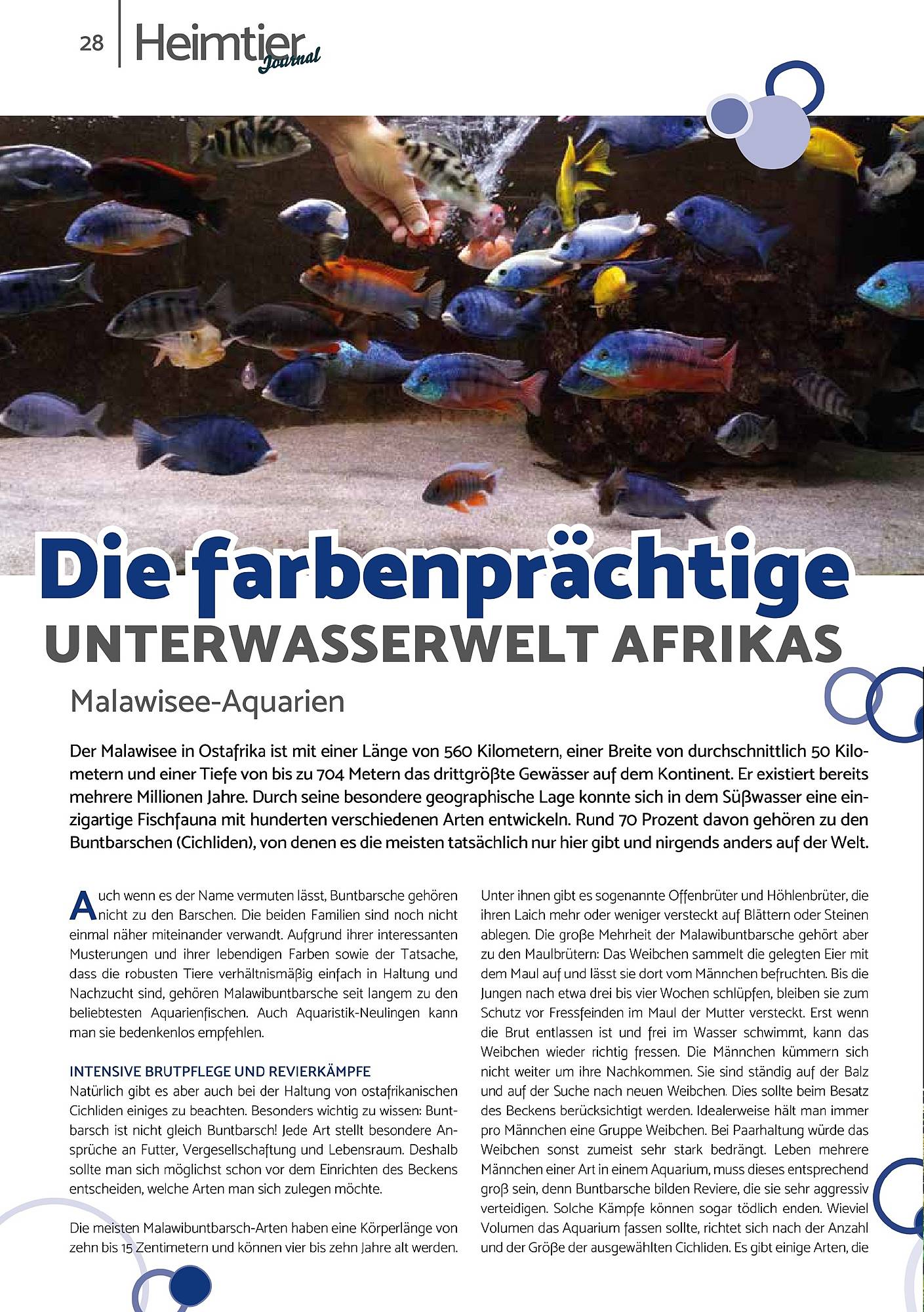 Zookauf Magazin – Seite 28
