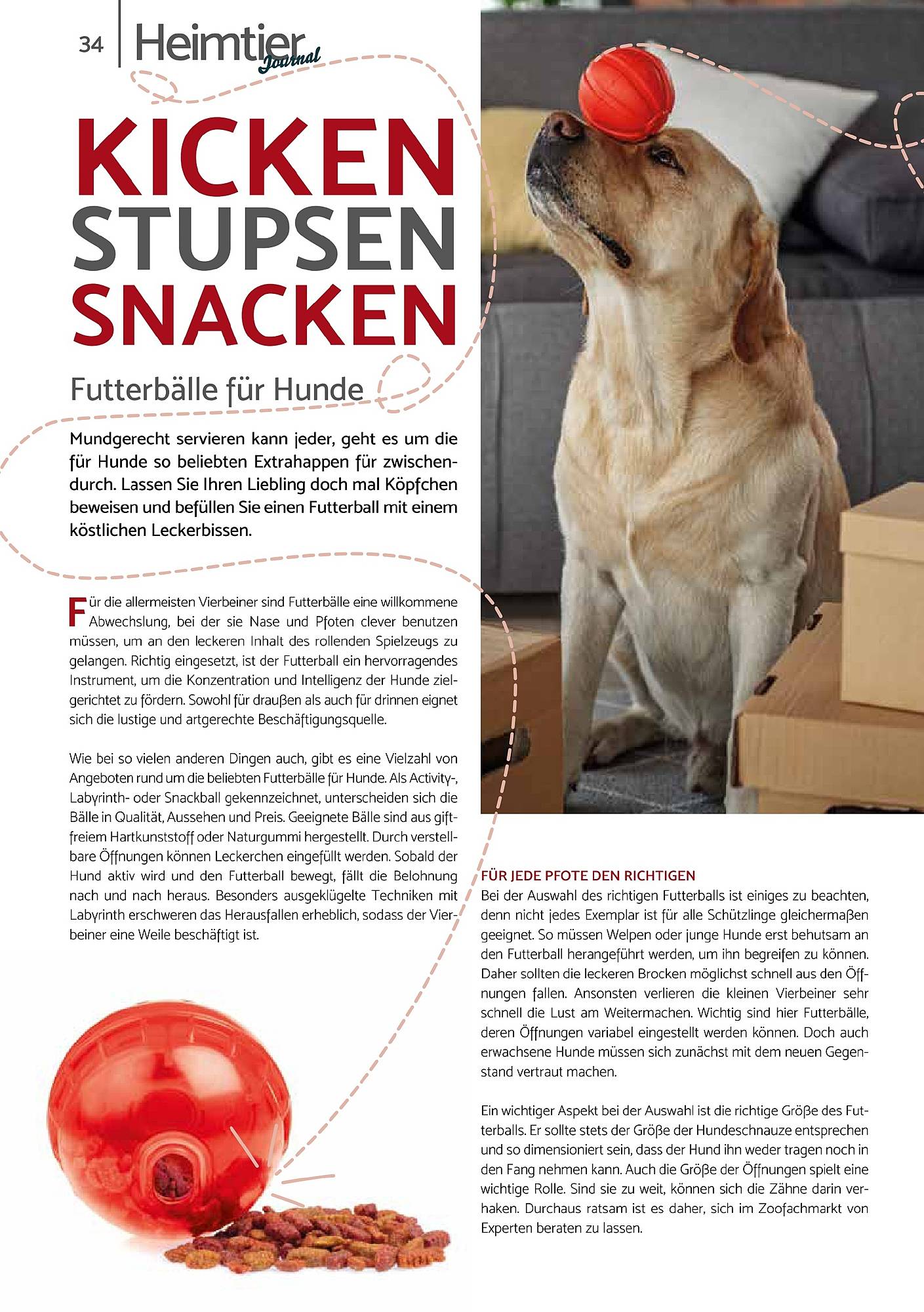 Zookauf Magazin – Seite 34