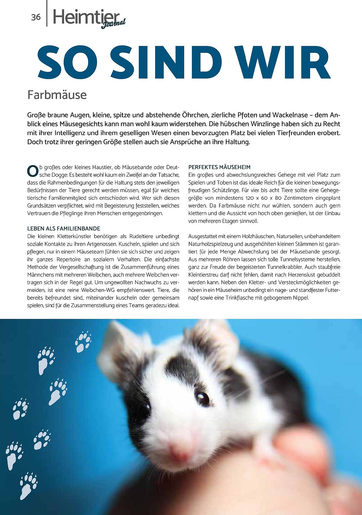 Zookauf Magazin – Seite 36