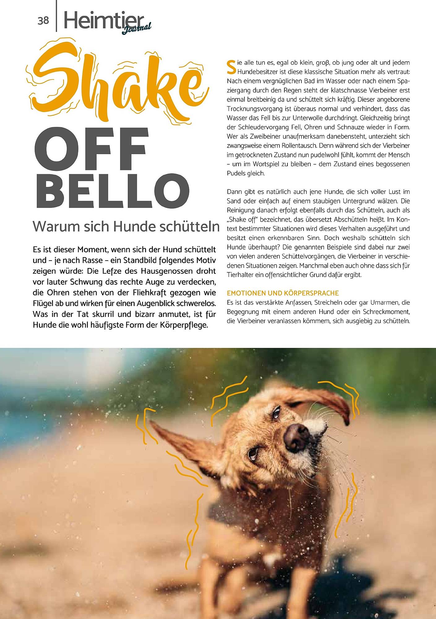 Zookauf Magazin – Seite 38