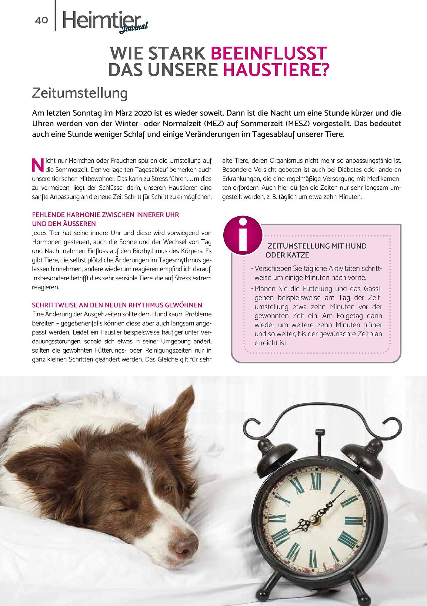 Zookauf Magazin – Seite 40