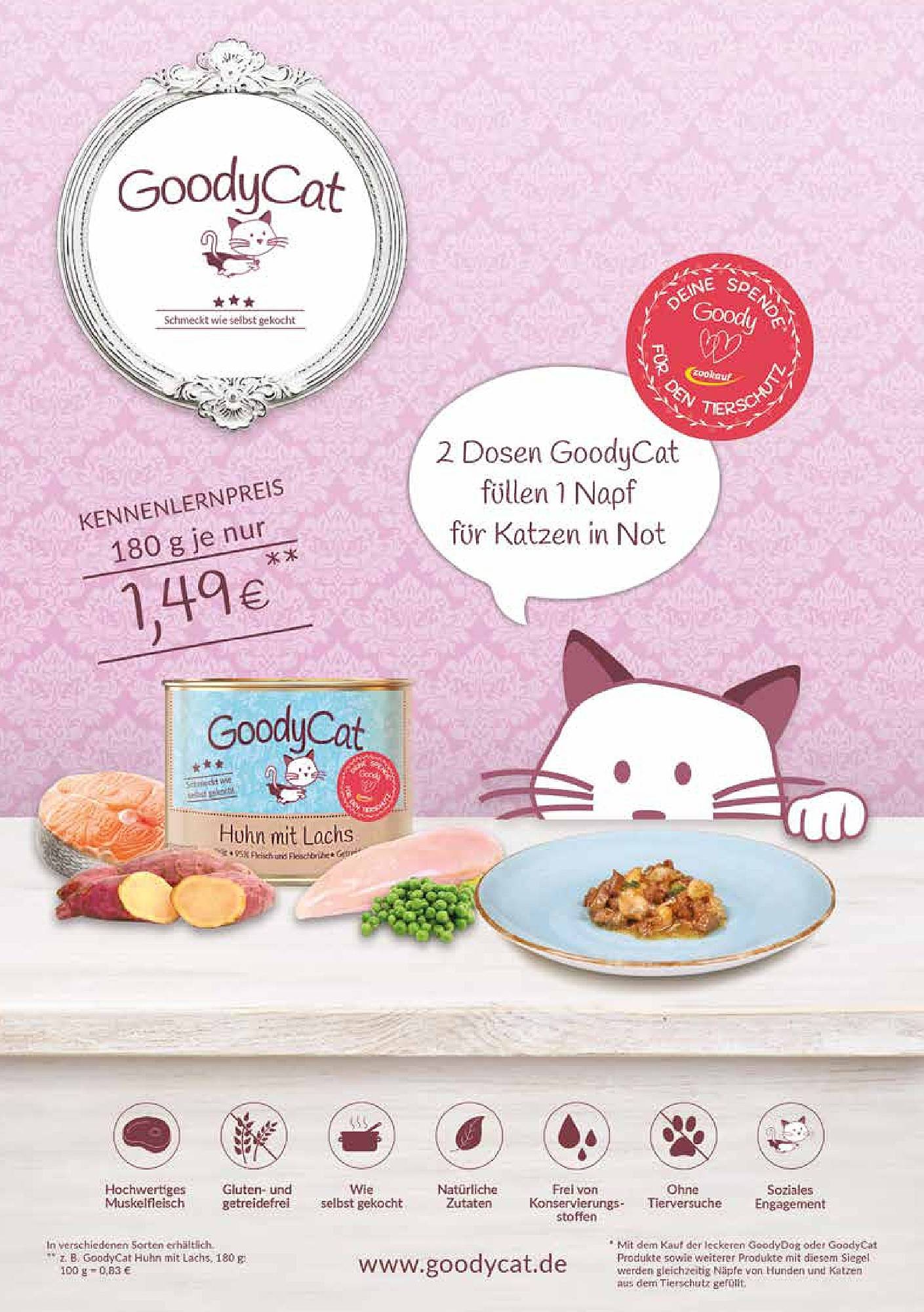 Zookauf Magazin – Seite 41