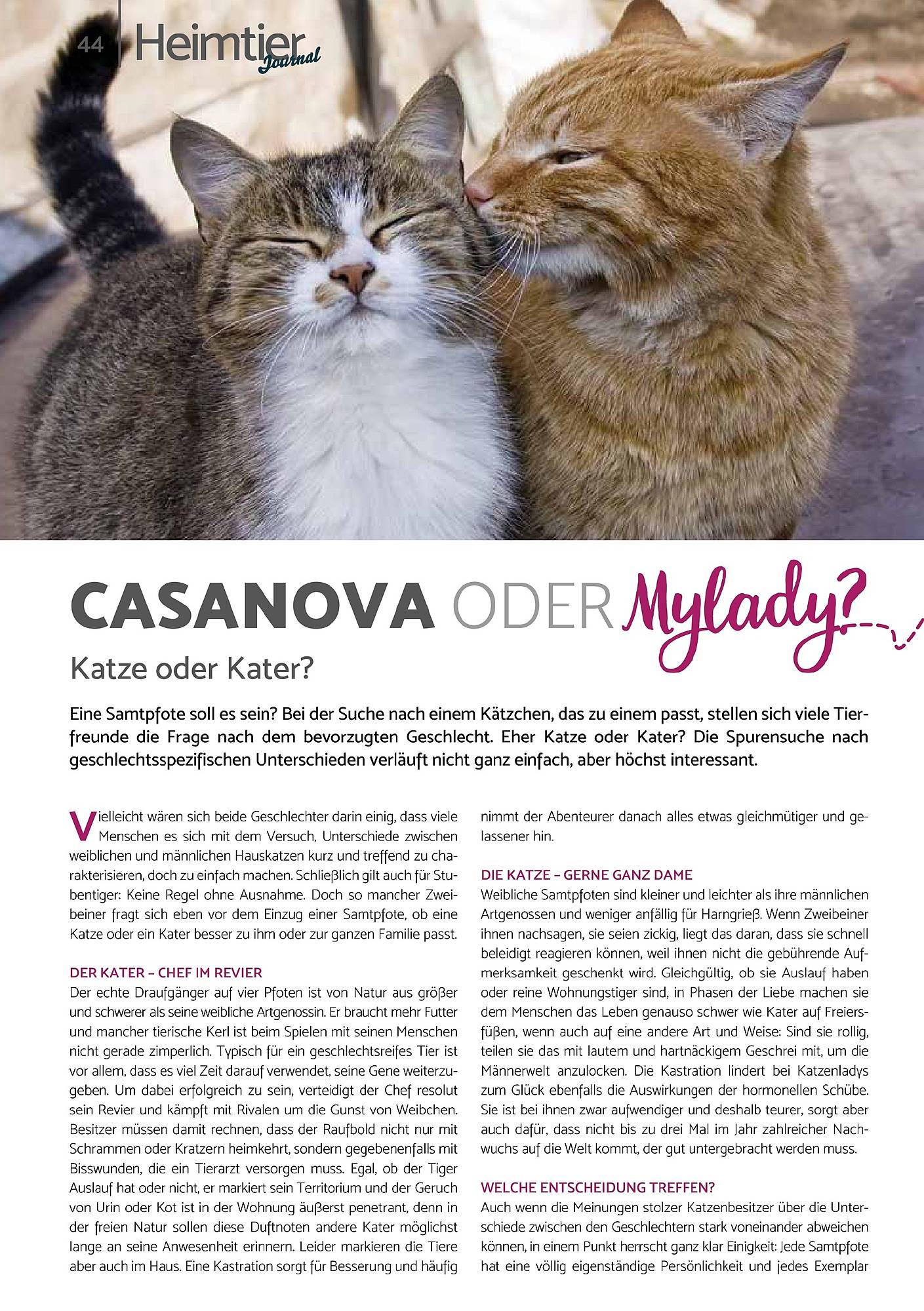 Zookauf Magazin – Seite 44