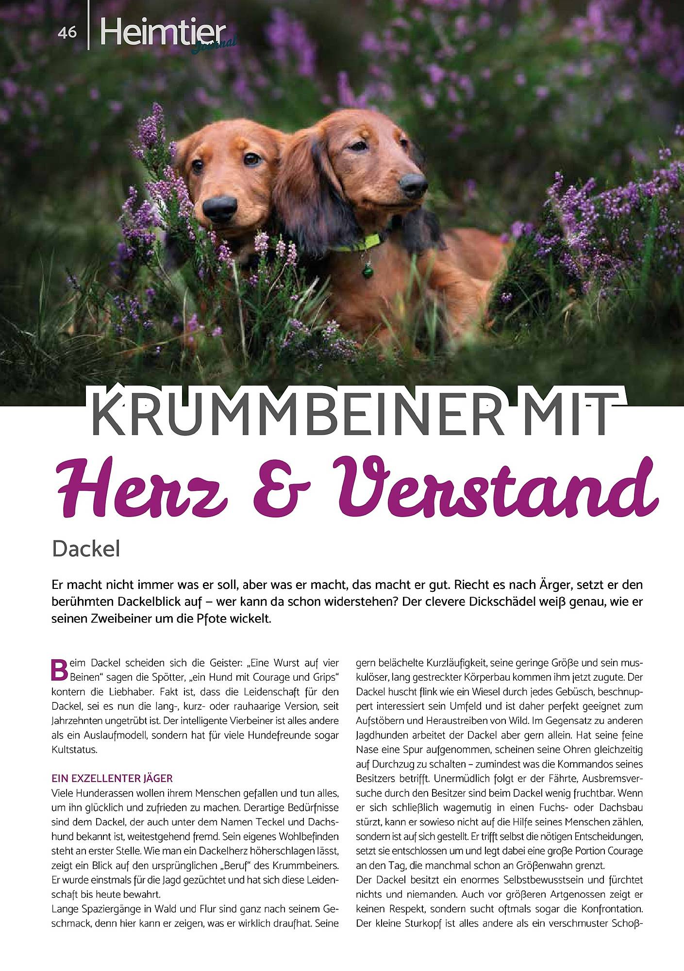 Zookauf Magazin – Seite 46