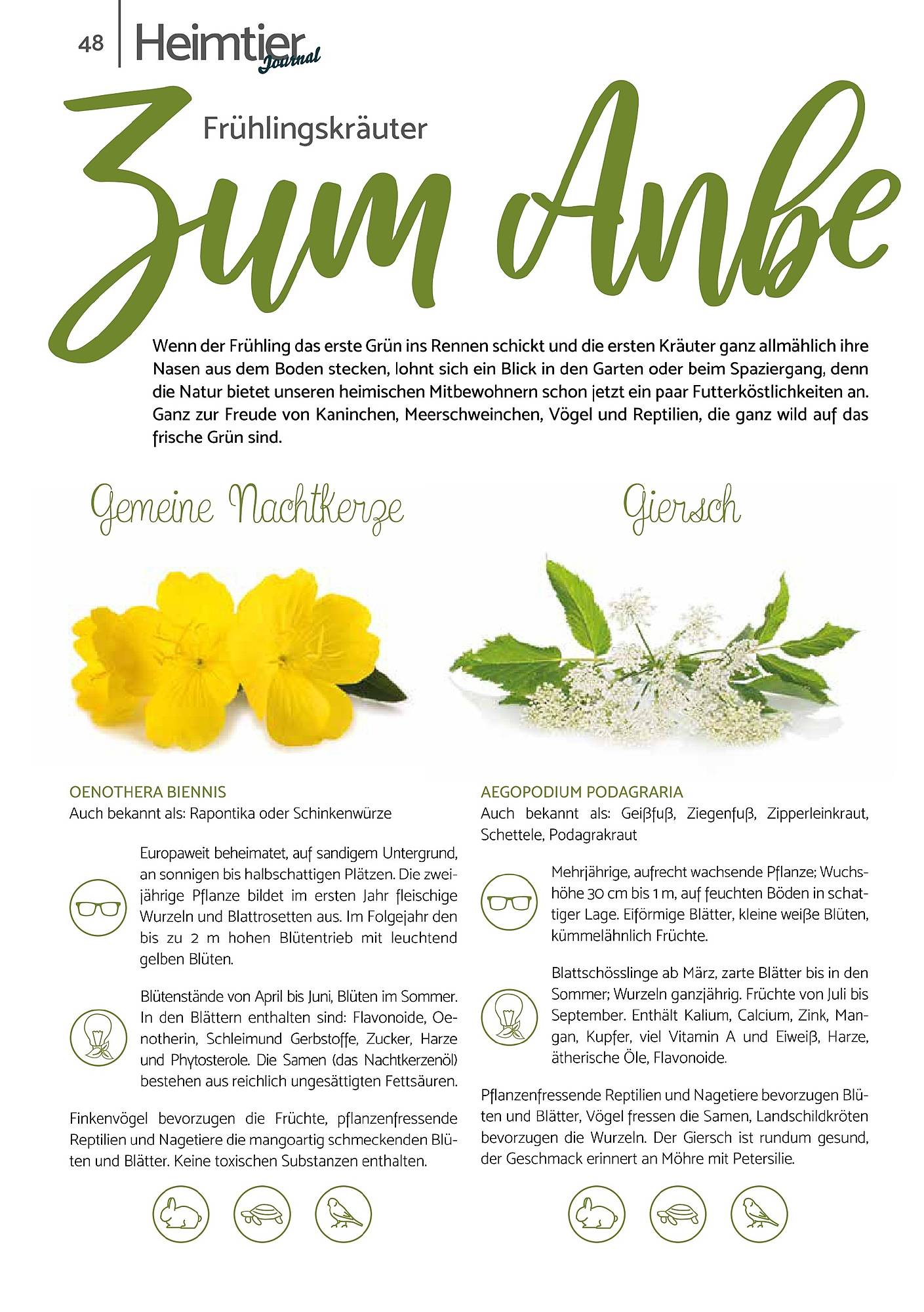 Zookauf Magazin – Seite 48
