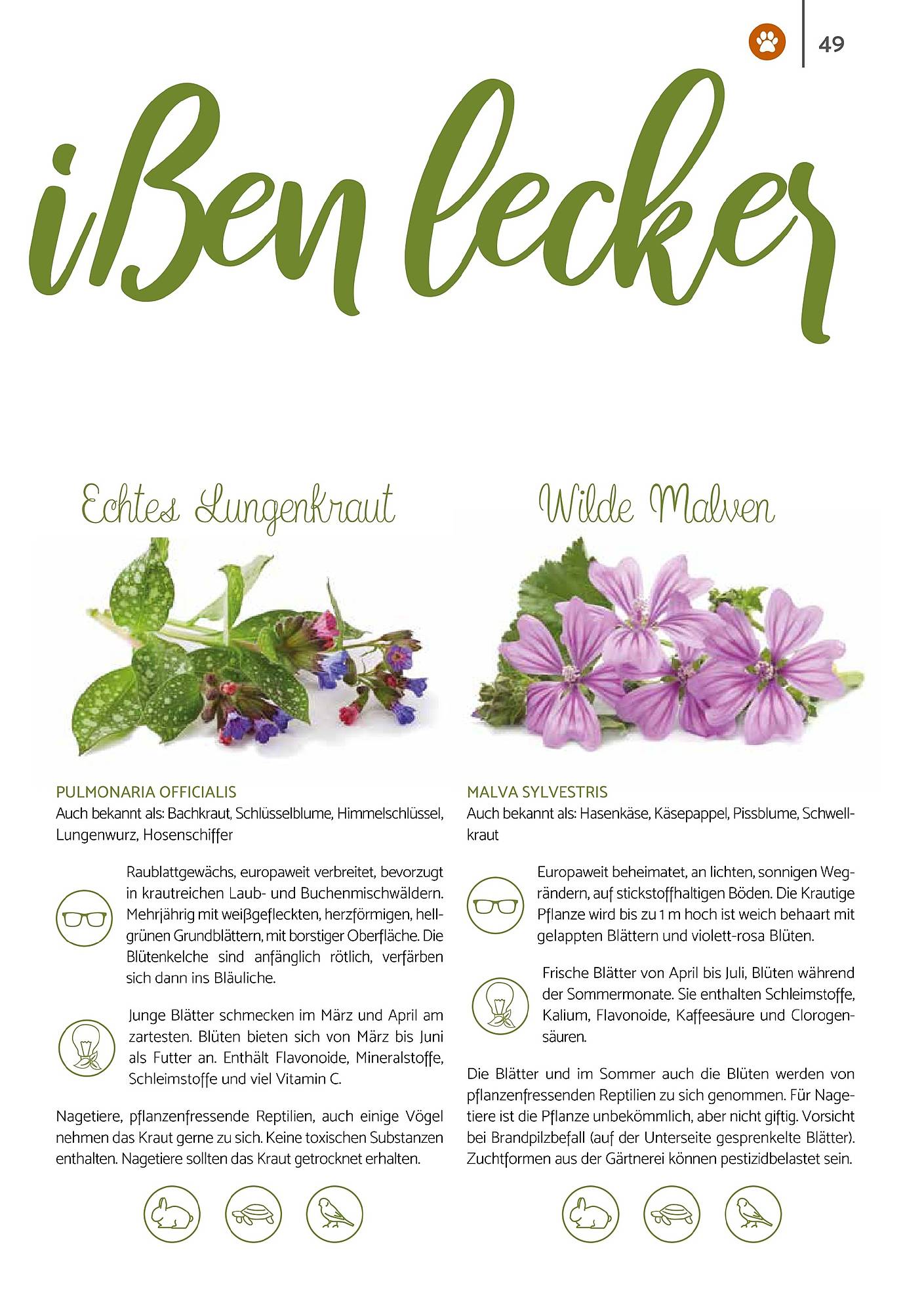 Zookauf Magazin – Seite 49