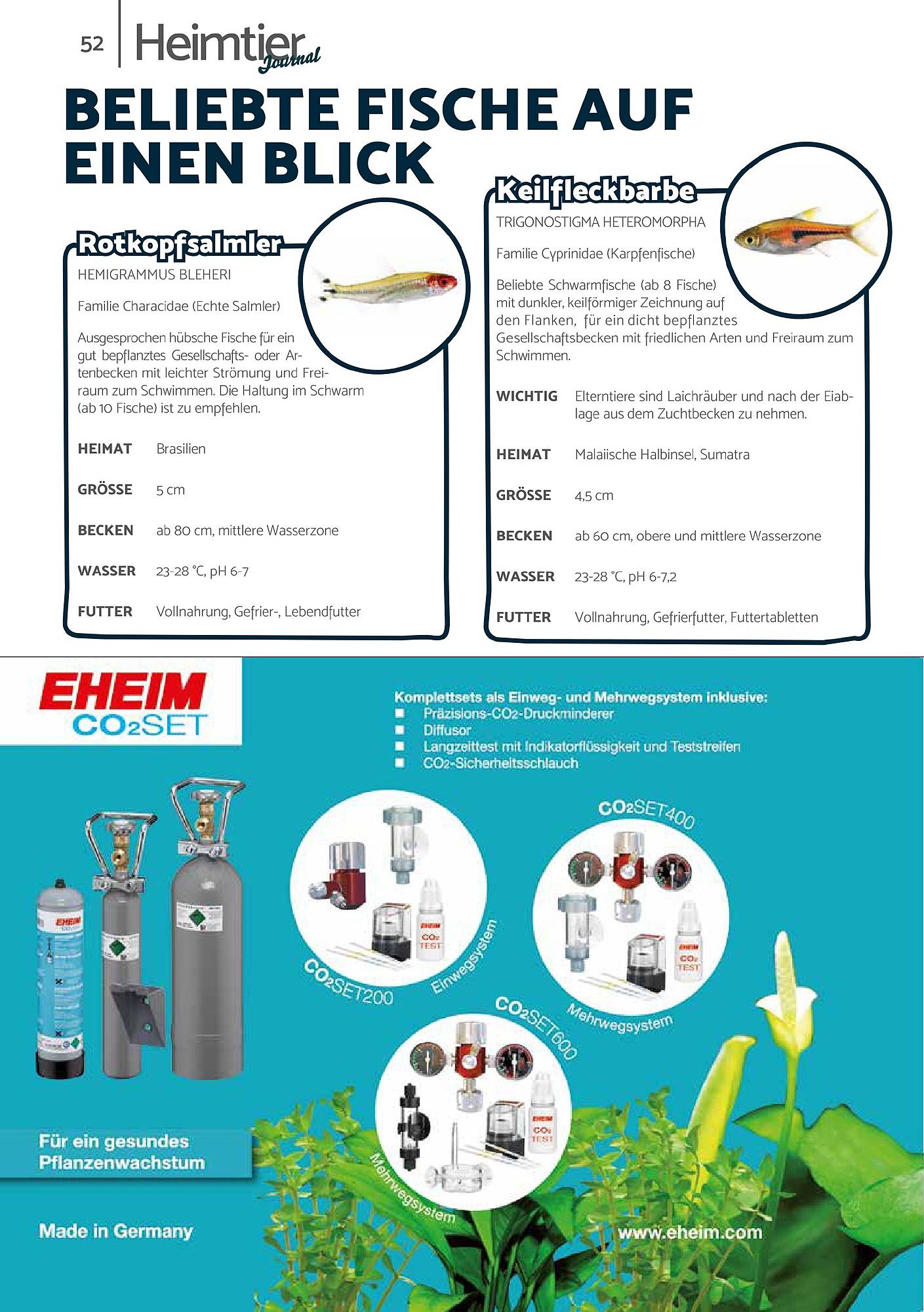 Zookauf Magazin – Seite 52