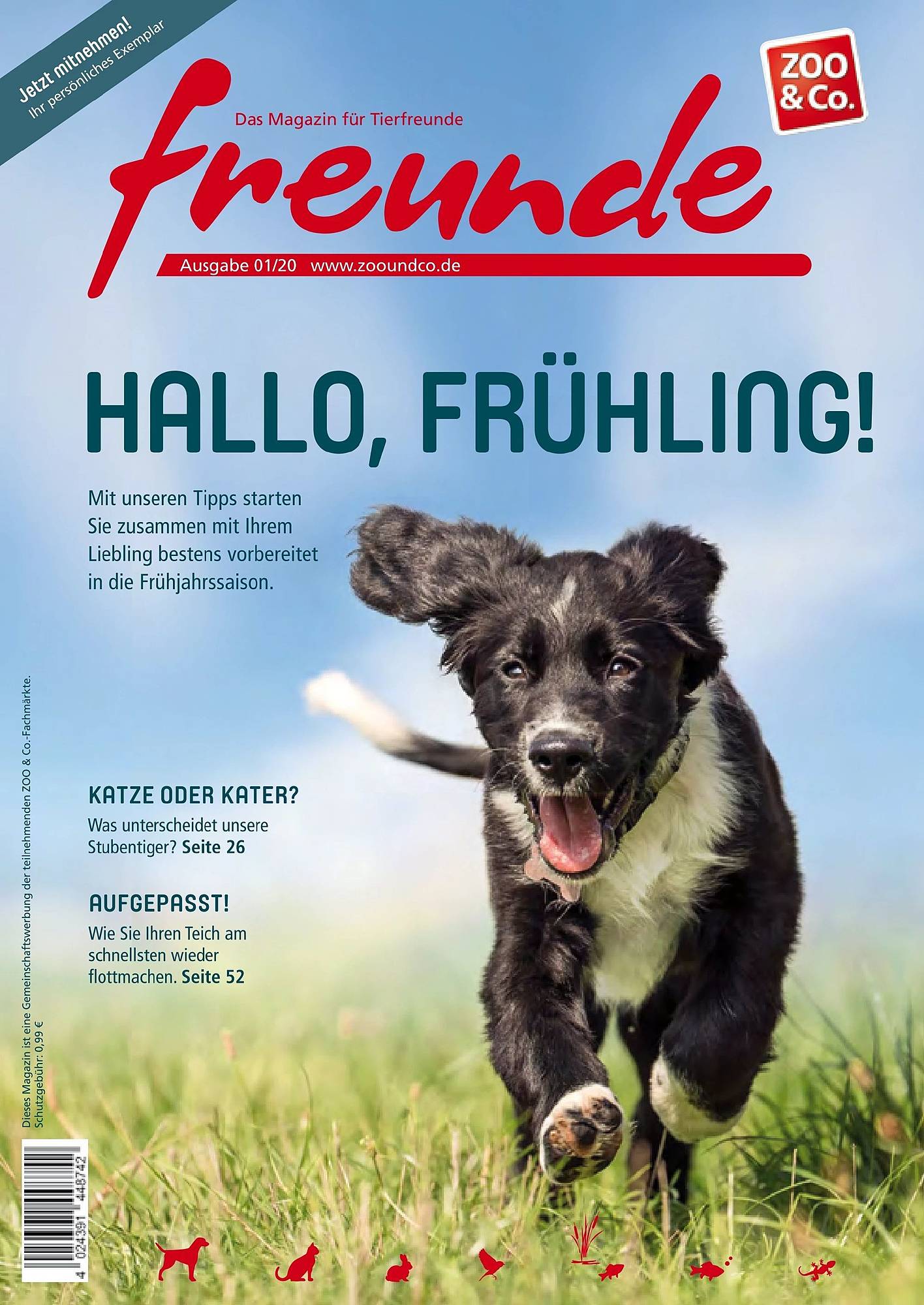 Zoo & Co Magazin – Vorschaubild