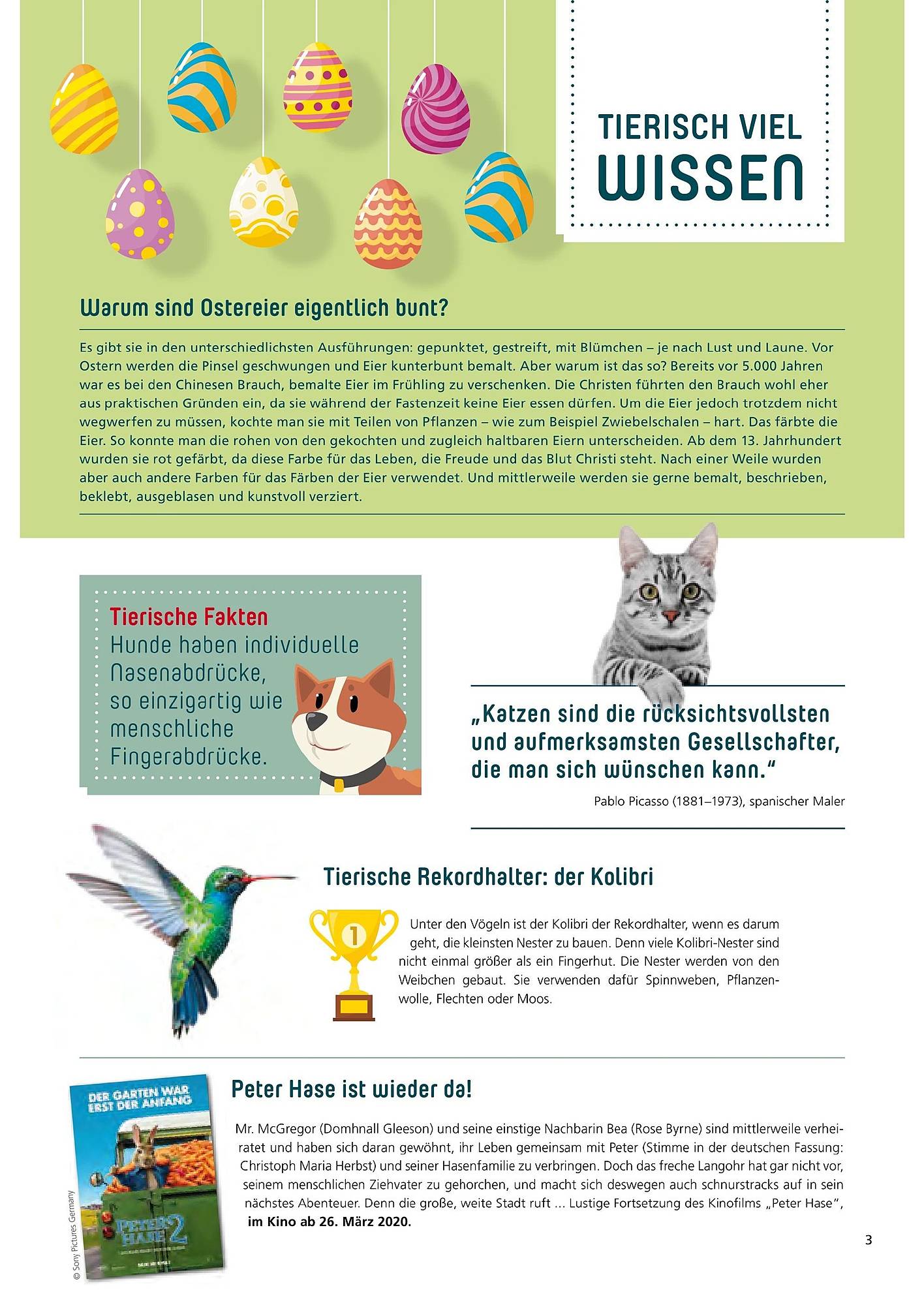 Zoo & Co Magazin – Seite 3