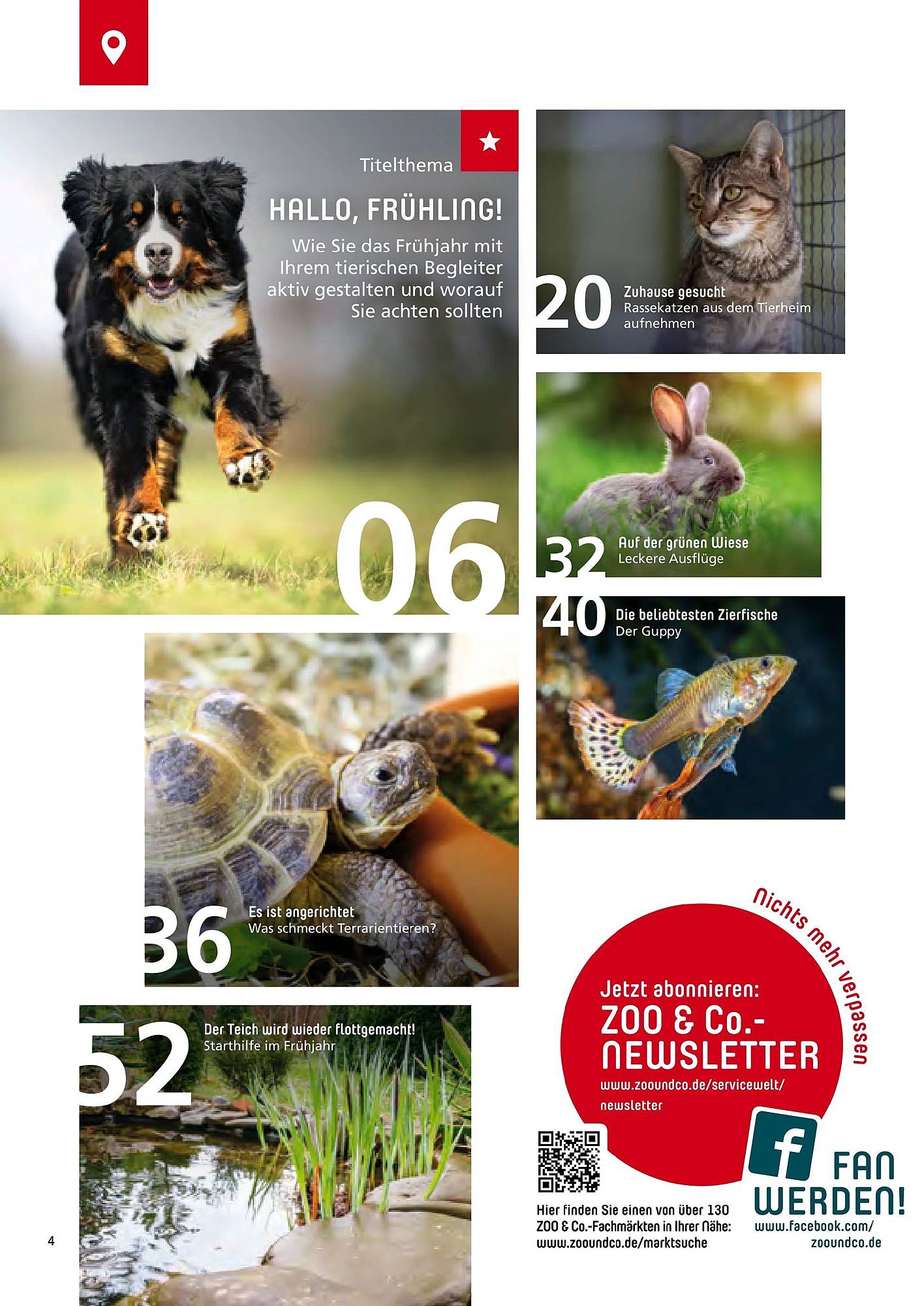 Zoo & Co Magazin – Seite 4