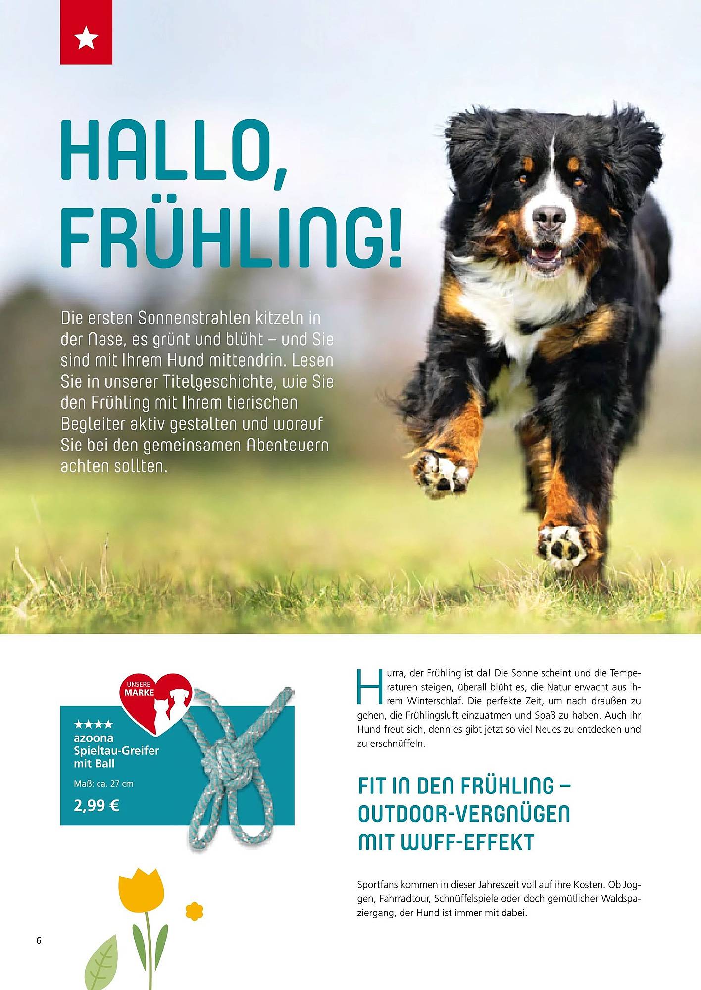 Zoo & Co Magazin – Seite 6