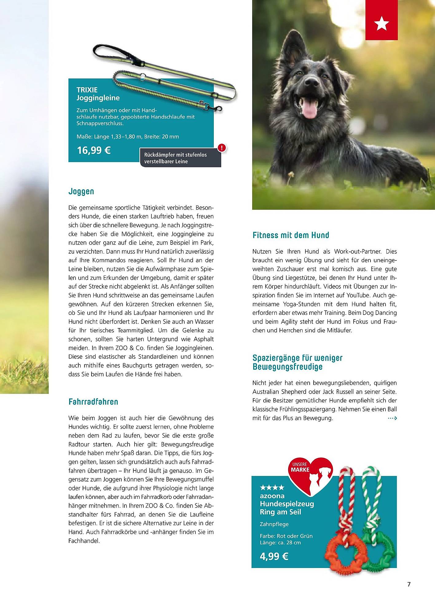 Zoo & Co Magazin – Seite 7