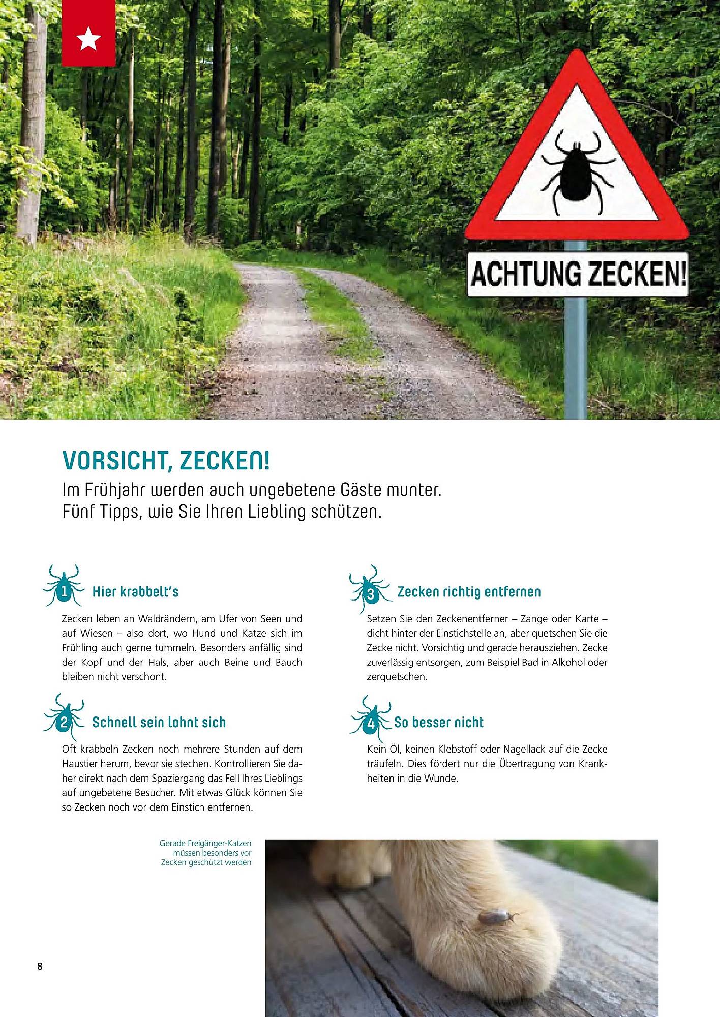 Zoo & Co Magazin – Seite 8